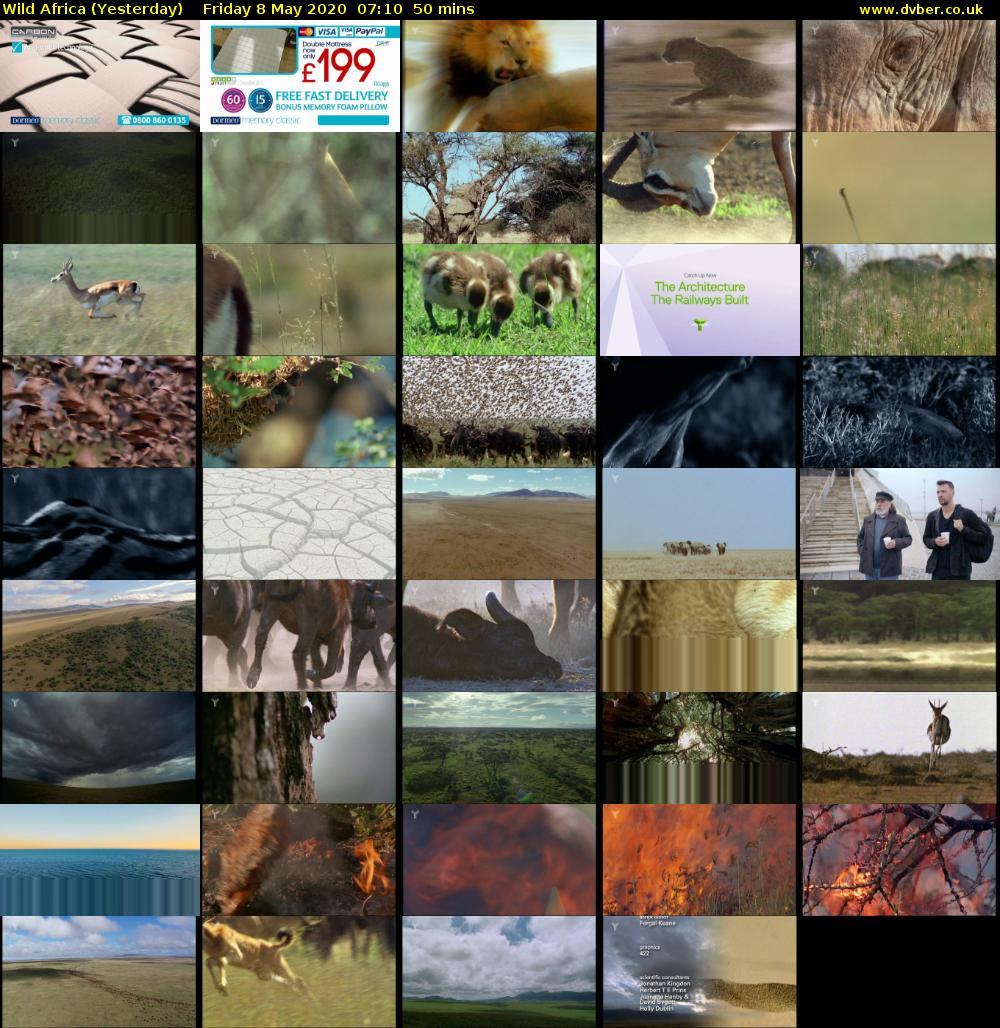 Wild Africa (Yesterday) Friday 8 May 2020 07:10 - 08:00