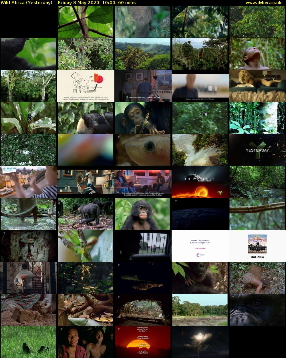 Wild Africa (Yesterday) Friday 8 May 2020 10:00 - 11:00