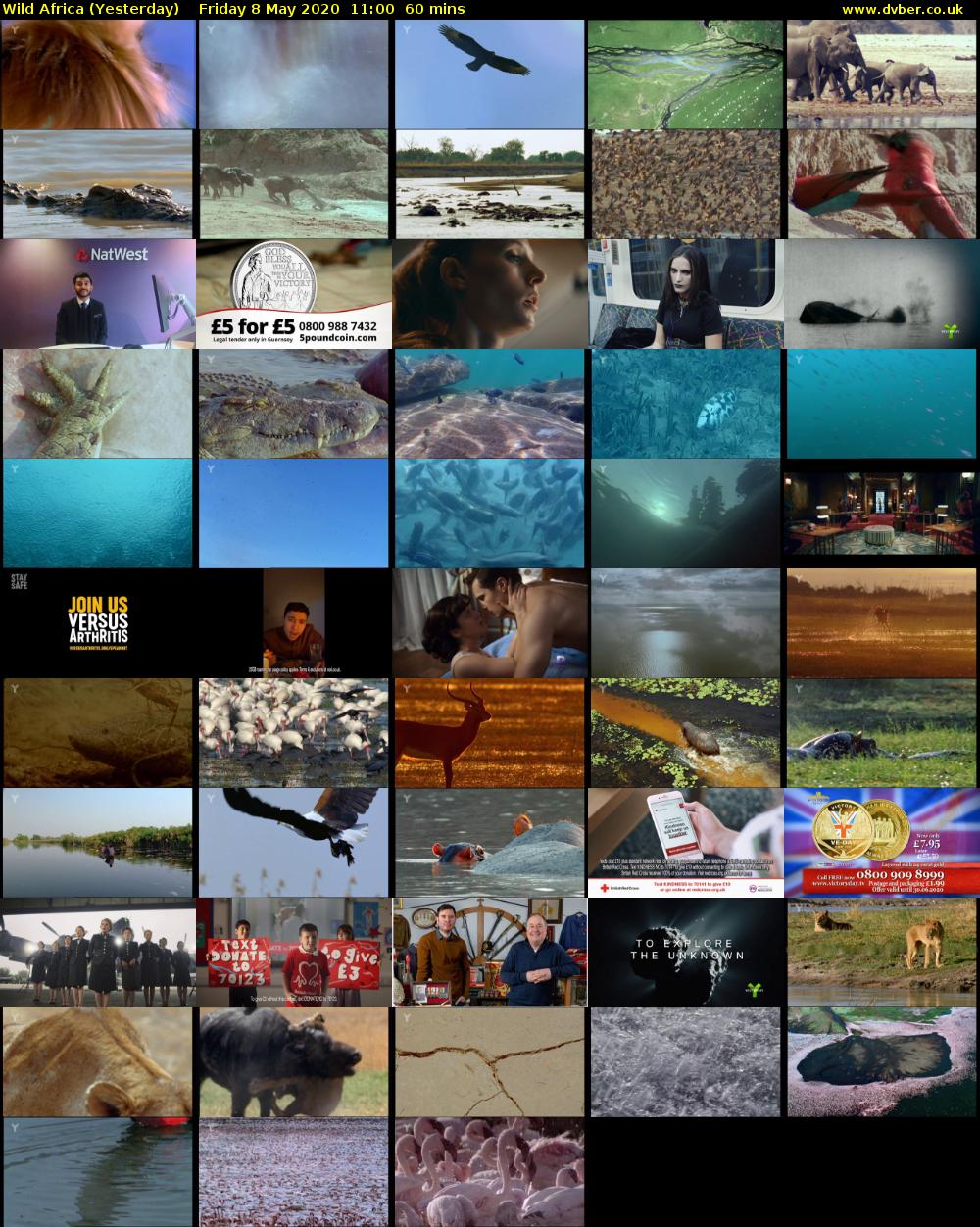 Wild Africa (Yesterday) Friday 8 May 2020 11:00 - 12:00