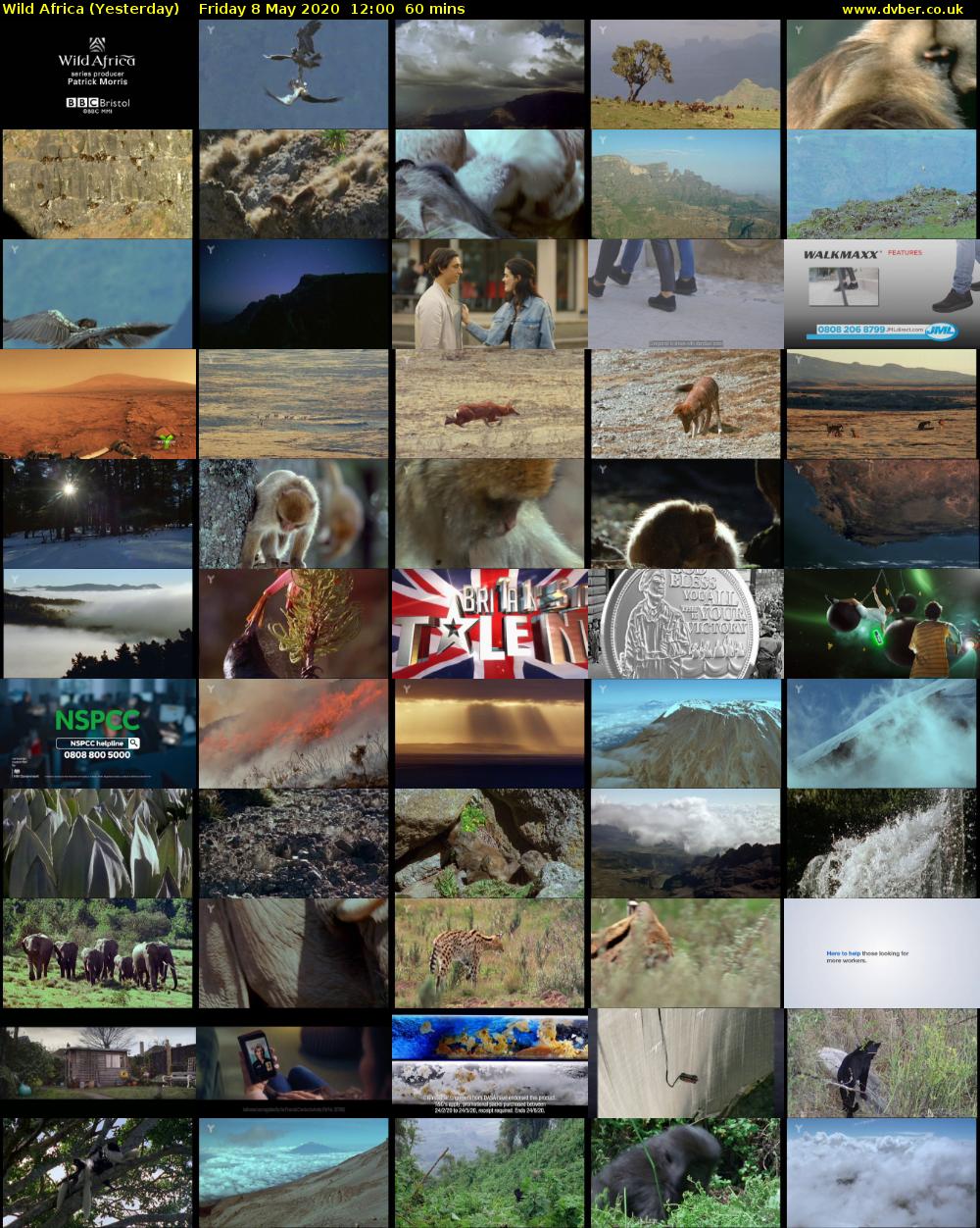 Wild Africa (Yesterday) Friday 8 May 2020 12:00 - 13:00