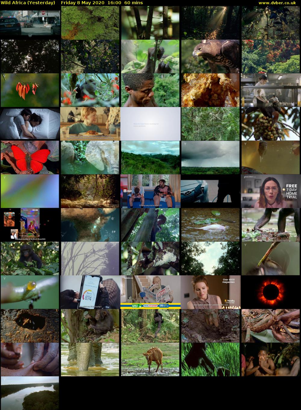 Wild Africa (Yesterday) Friday 8 May 2020 16:00 - 17:00