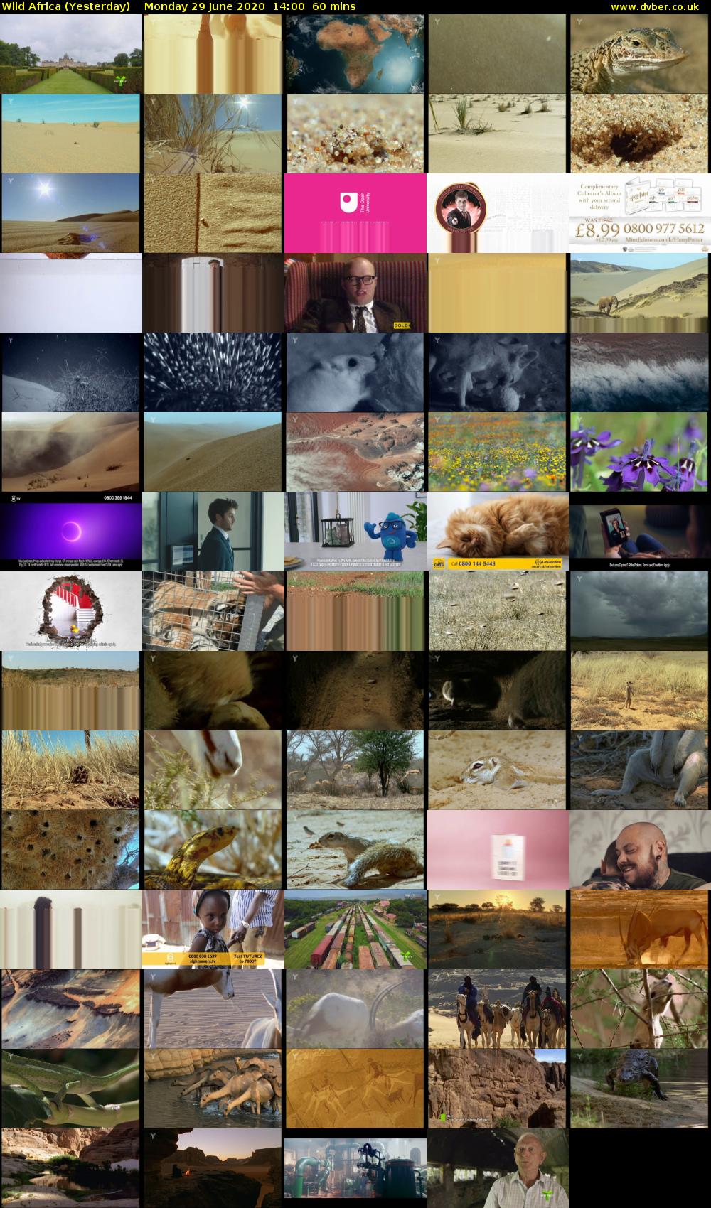 Wild Africa (Yesterday) Monday 29 June 2020 14:00 - 15:00