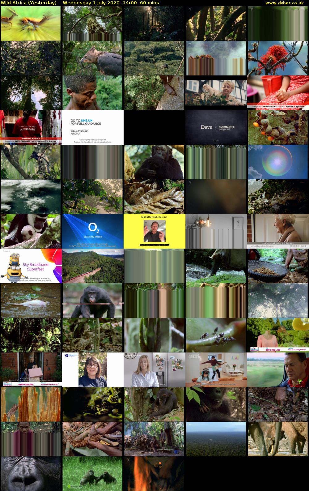 Wild Africa (Yesterday) Wednesday 1 July 2020 14:00 - 15:00