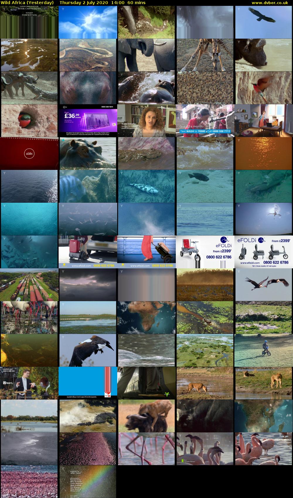 Wild Africa (Yesterday) Thursday 2 July 2020 14:00 - 15:00