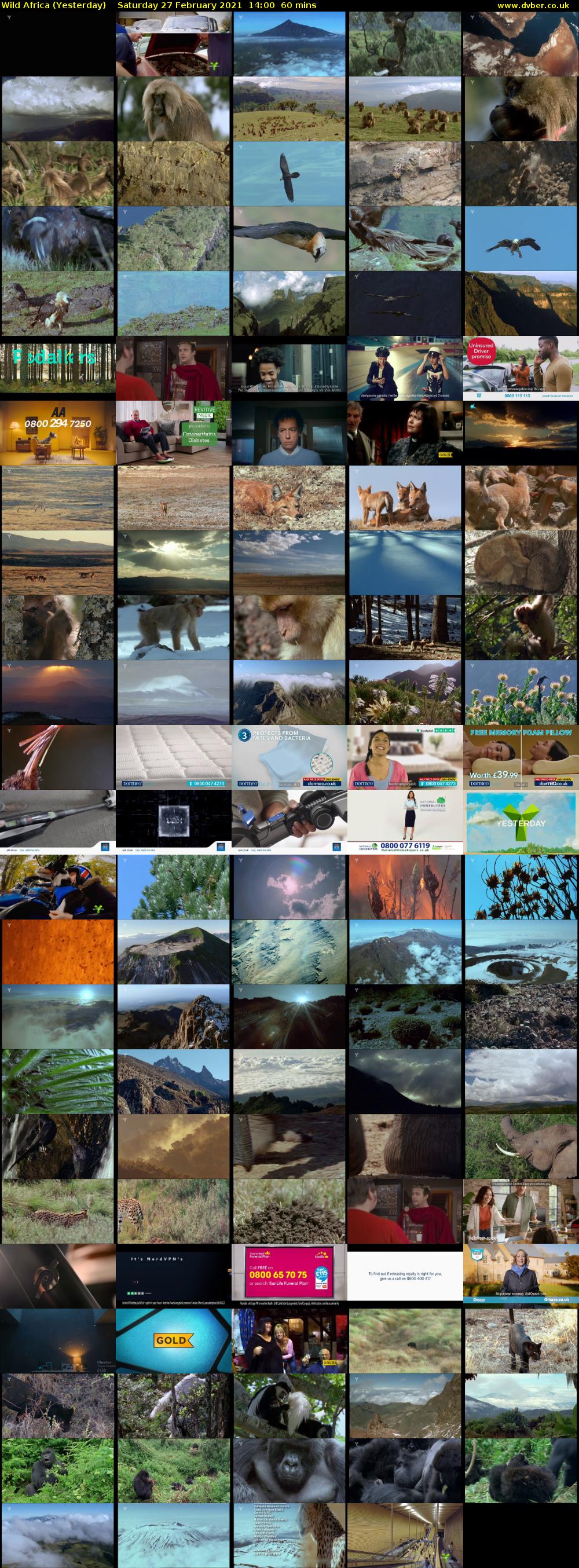 Wild Africa (Yesterday) Saturday 27 February 2021 14:00 - 15:00