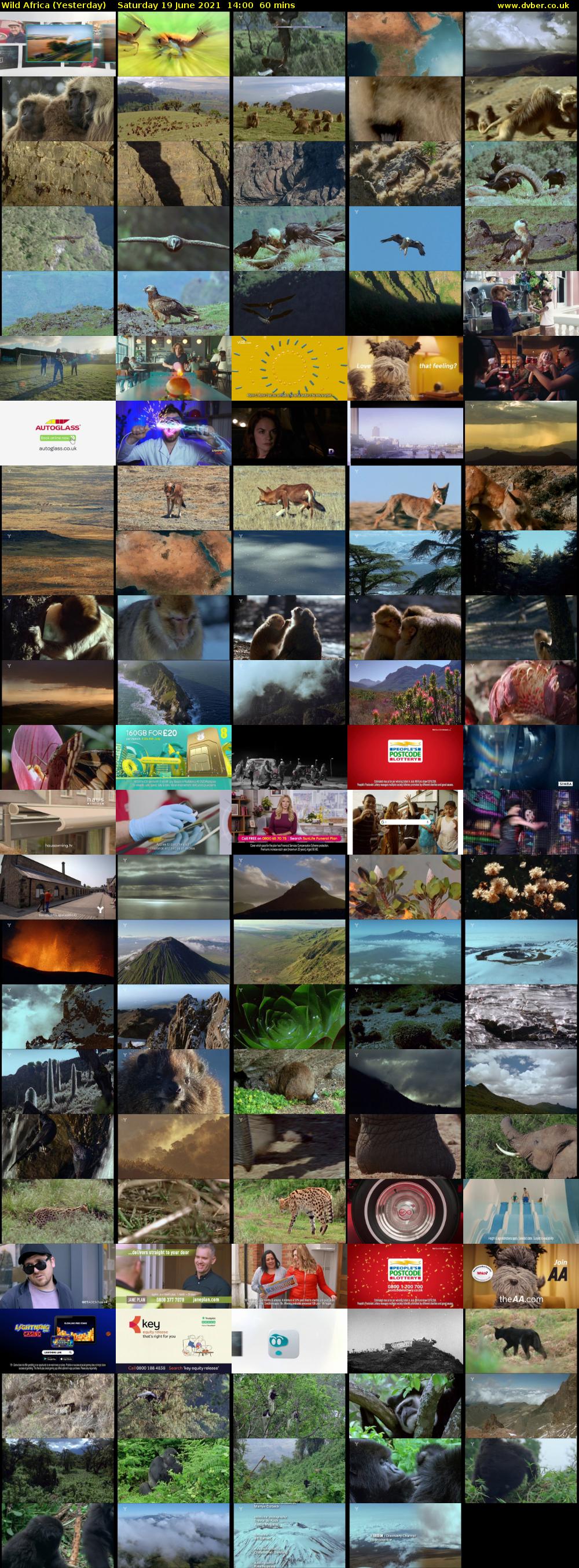 Wild Africa (Yesterday) Saturday 19 June 2021 14:00 - 15:00