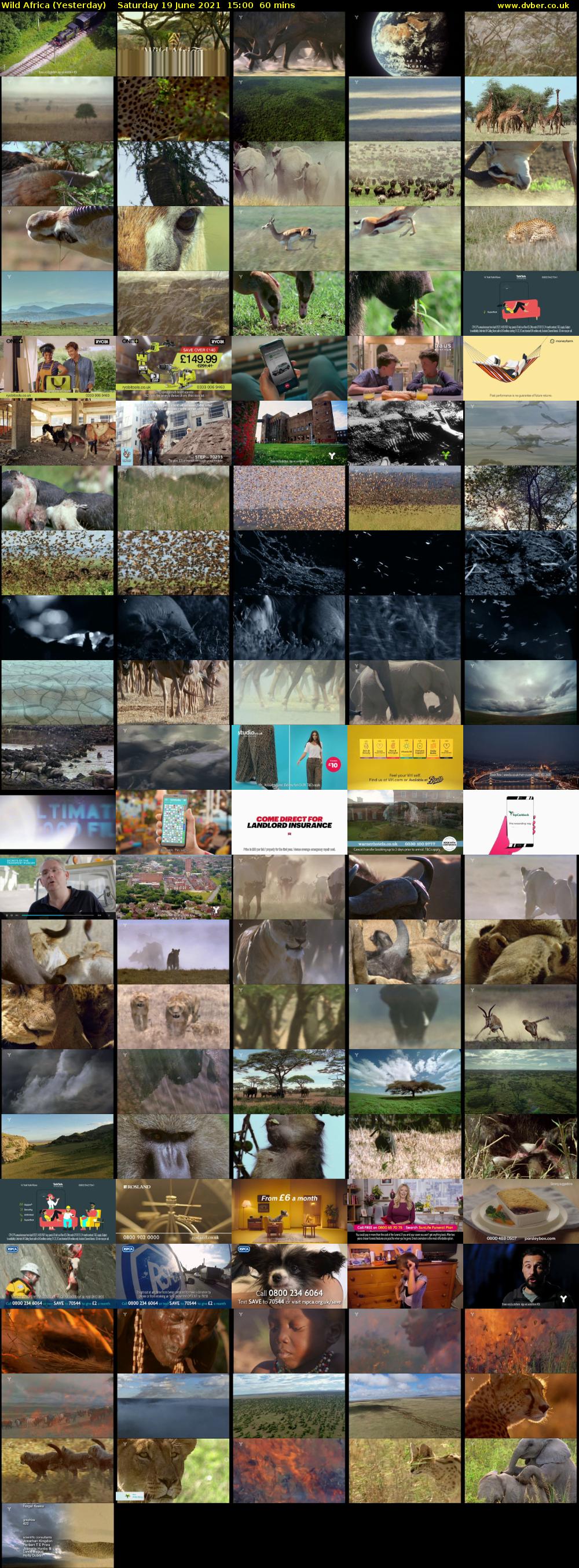 Wild Africa (Yesterday) Saturday 19 June 2021 15:00 - 16:00