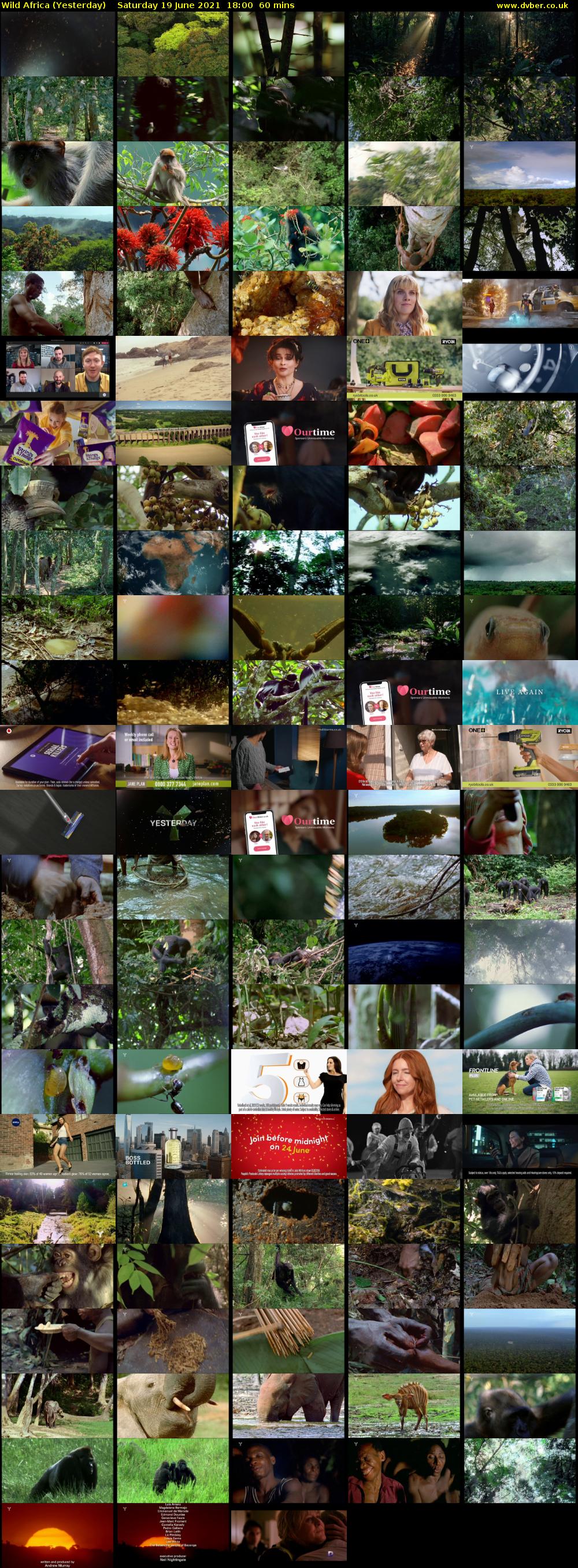 Wild Africa (Yesterday) Saturday 19 June 2021 18:00 - 19:00