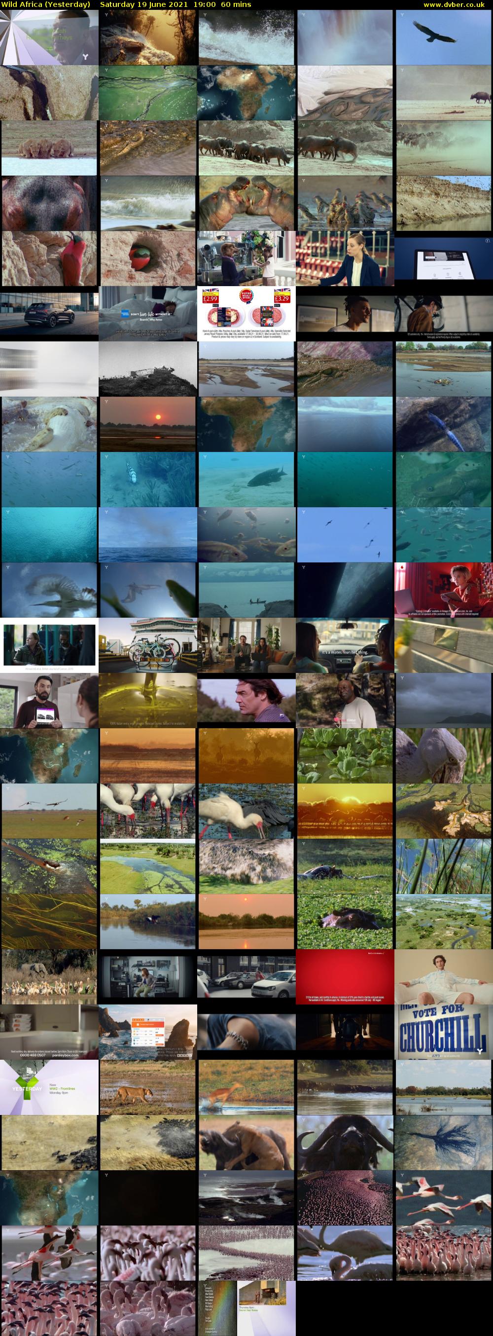 Wild Africa (Yesterday) Saturday 19 June 2021 19:00 - 20:00