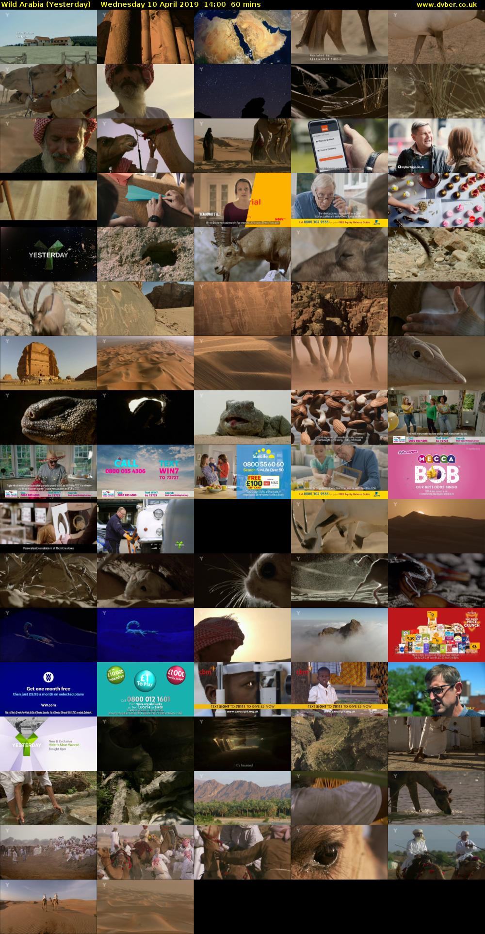 Wild Arabia (Yesterday) Wednesday 10 April 2019 14:00 - 15:00