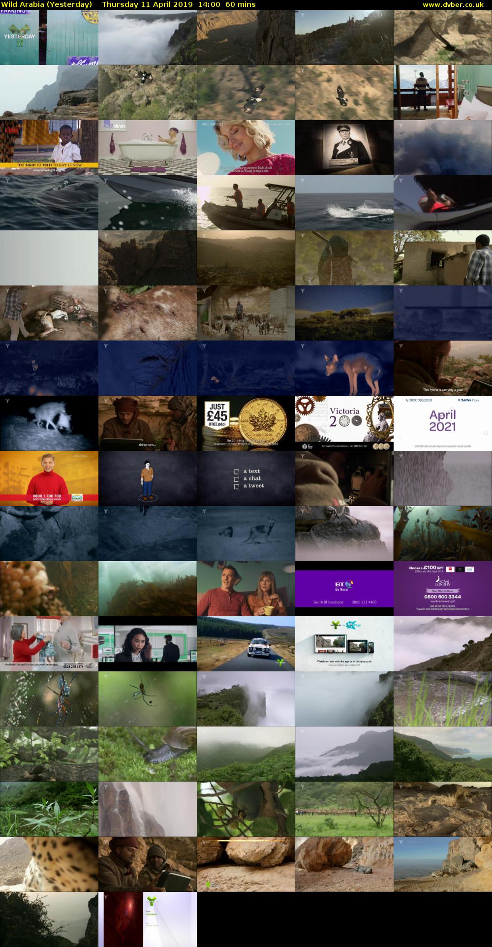 Wild Arabia (Yesterday) Thursday 11 April 2019 14:00 - 15:00