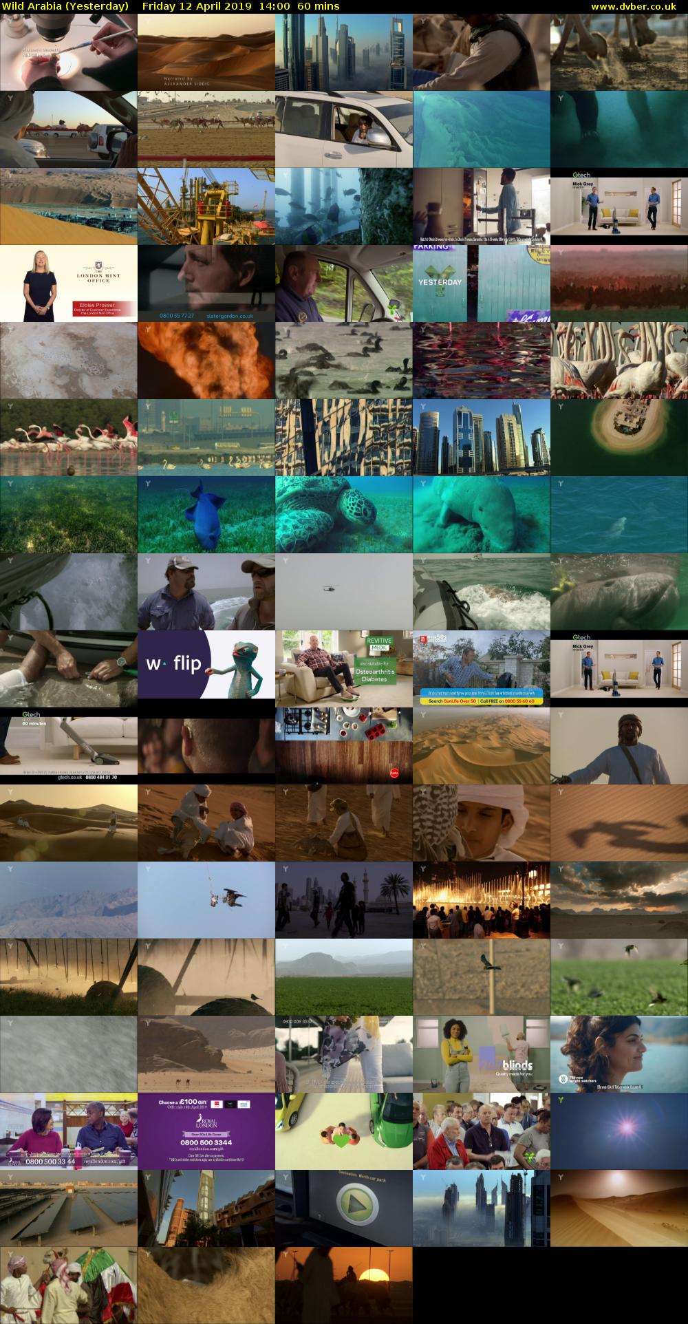 Wild Arabia (Yesterday) Friday 12 April 2019 14:00 - 15:00