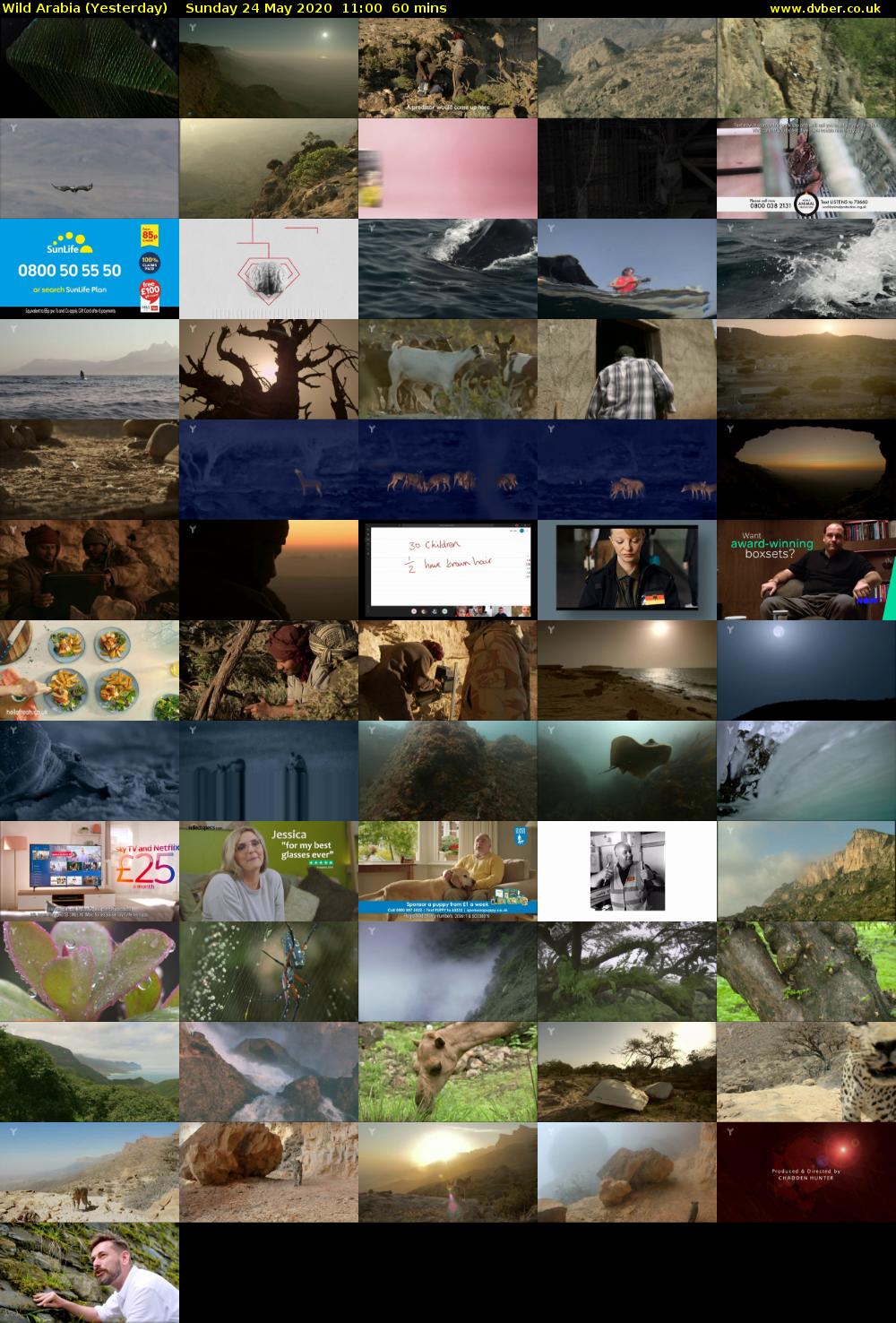 Wild Arabia (Yesterday) Sunday 24 May 2020 11:00 - 12:00