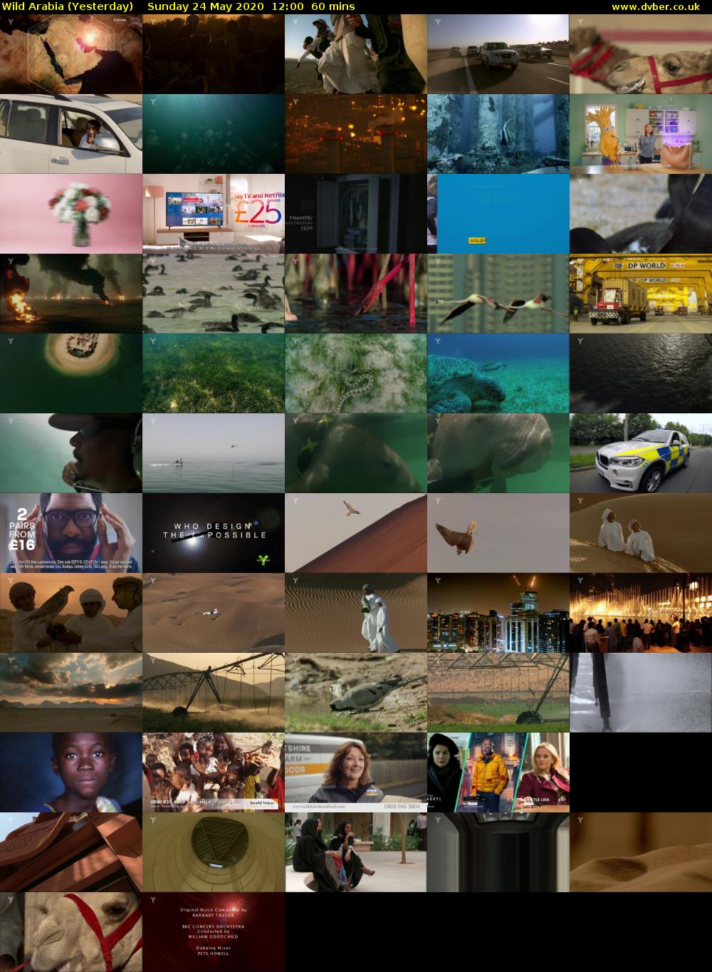 Wild Arabia (Yesterday) Sunday 24 May 2020 12:00 - 13:00