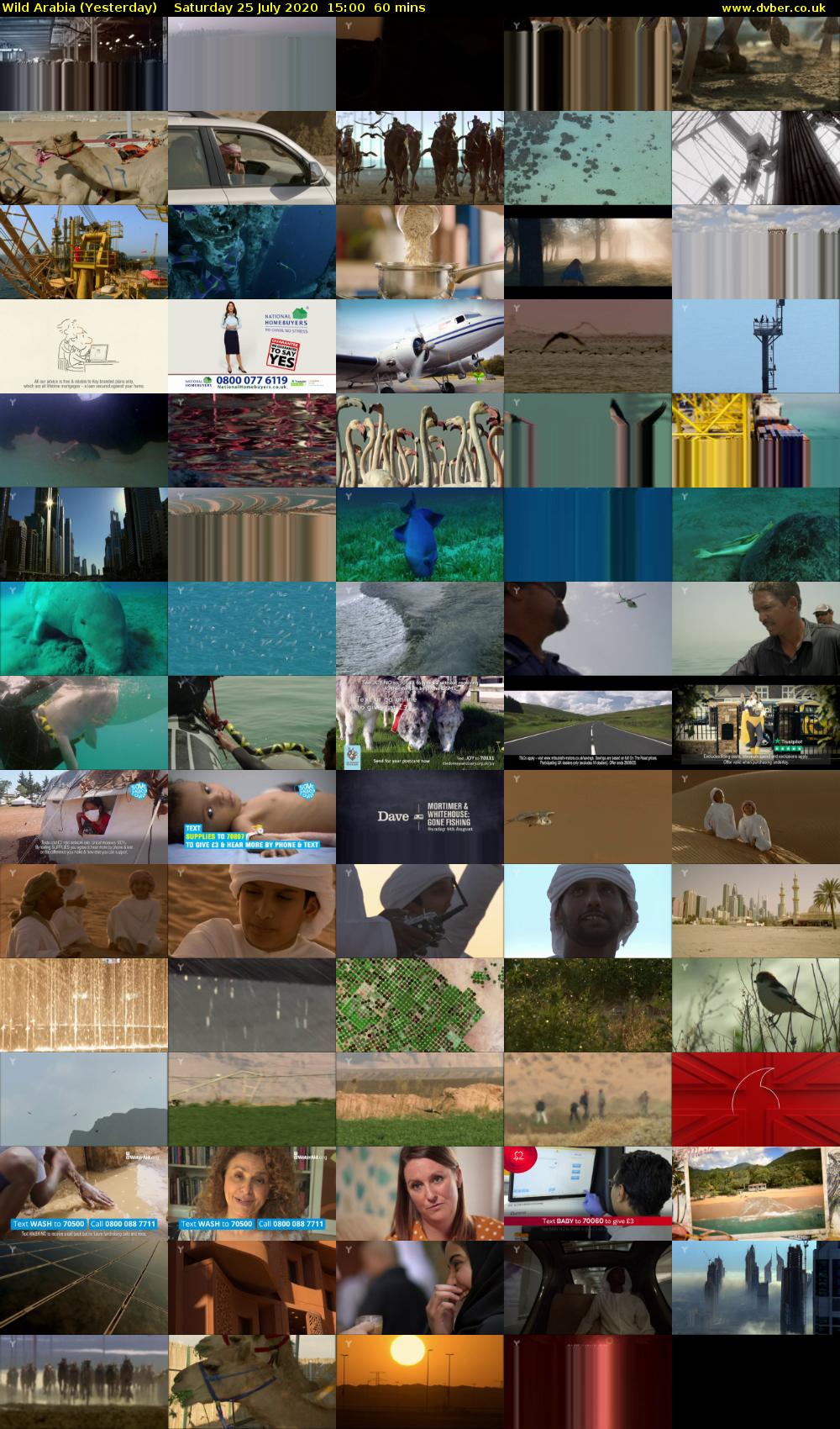 Wild Arabia (Yesterday) Saturday 25 July 2020 15:00 - 16:00