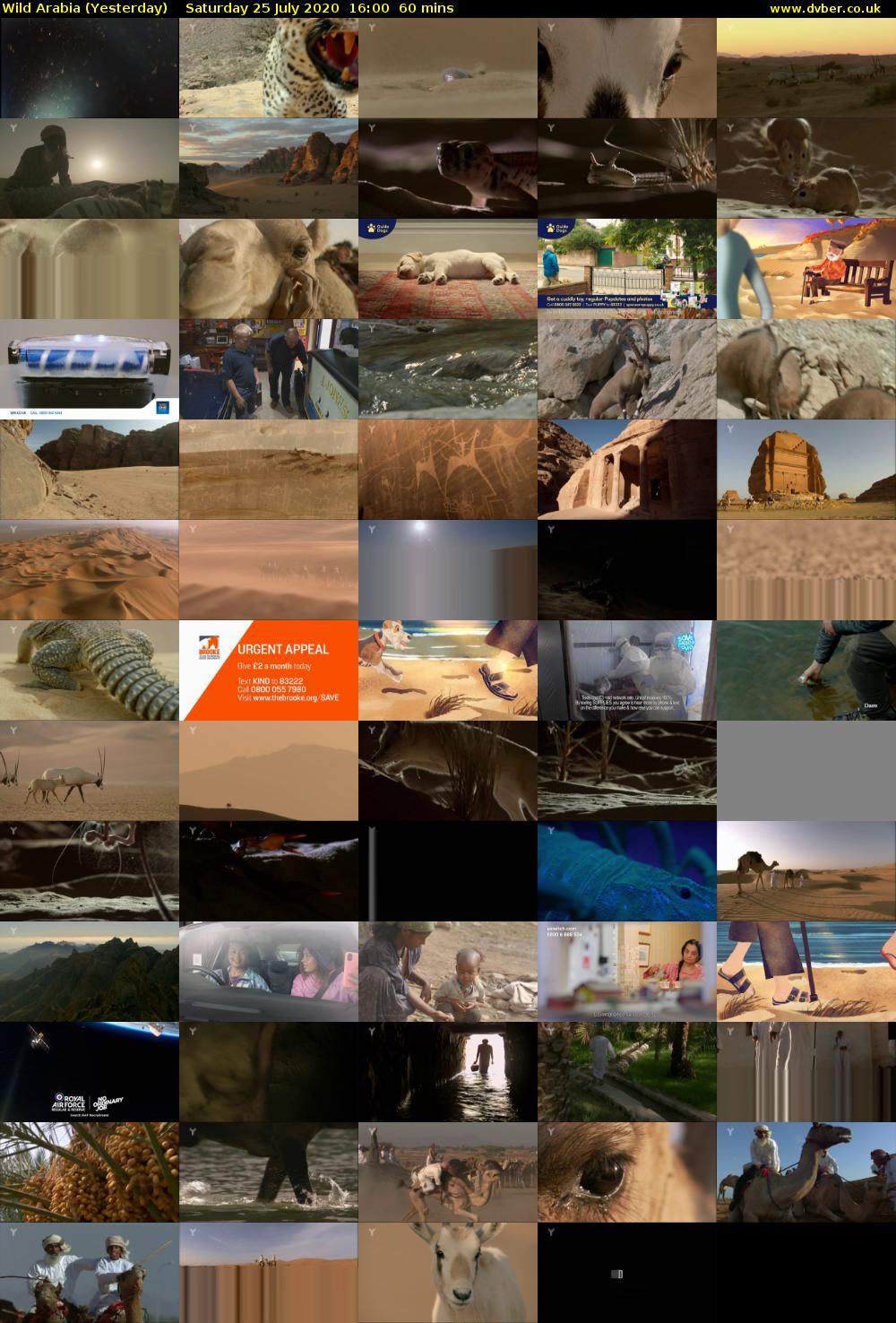 Wild Arabia (Yesterday) Saturday 25 July 2020 16:00 - 17:00
