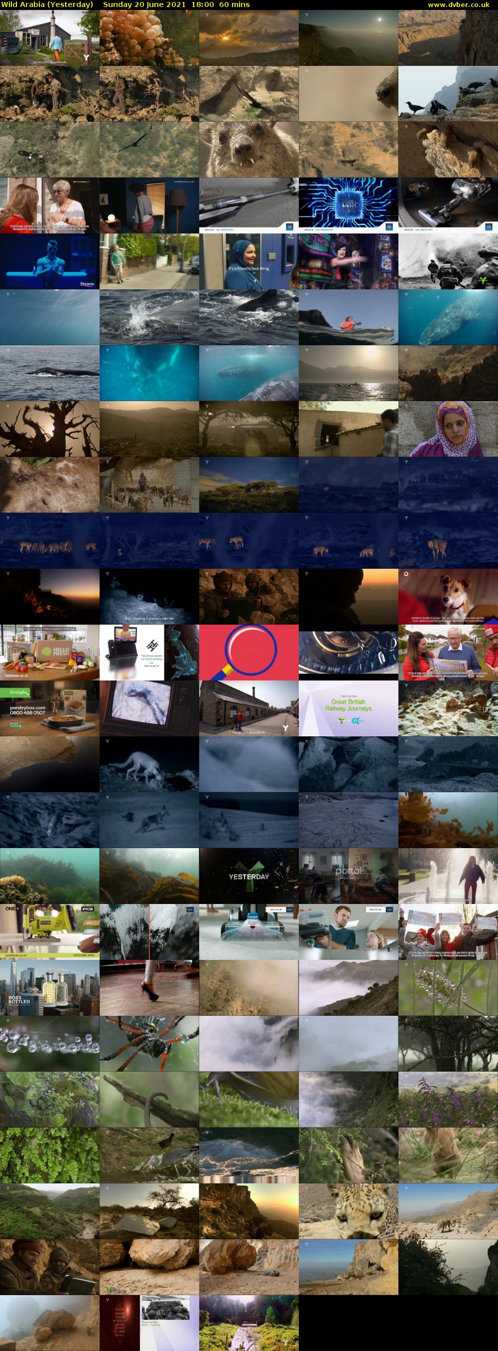 Wild Arabia (Yesterday) Sunday 20 June 2021 18:00 - 19:00