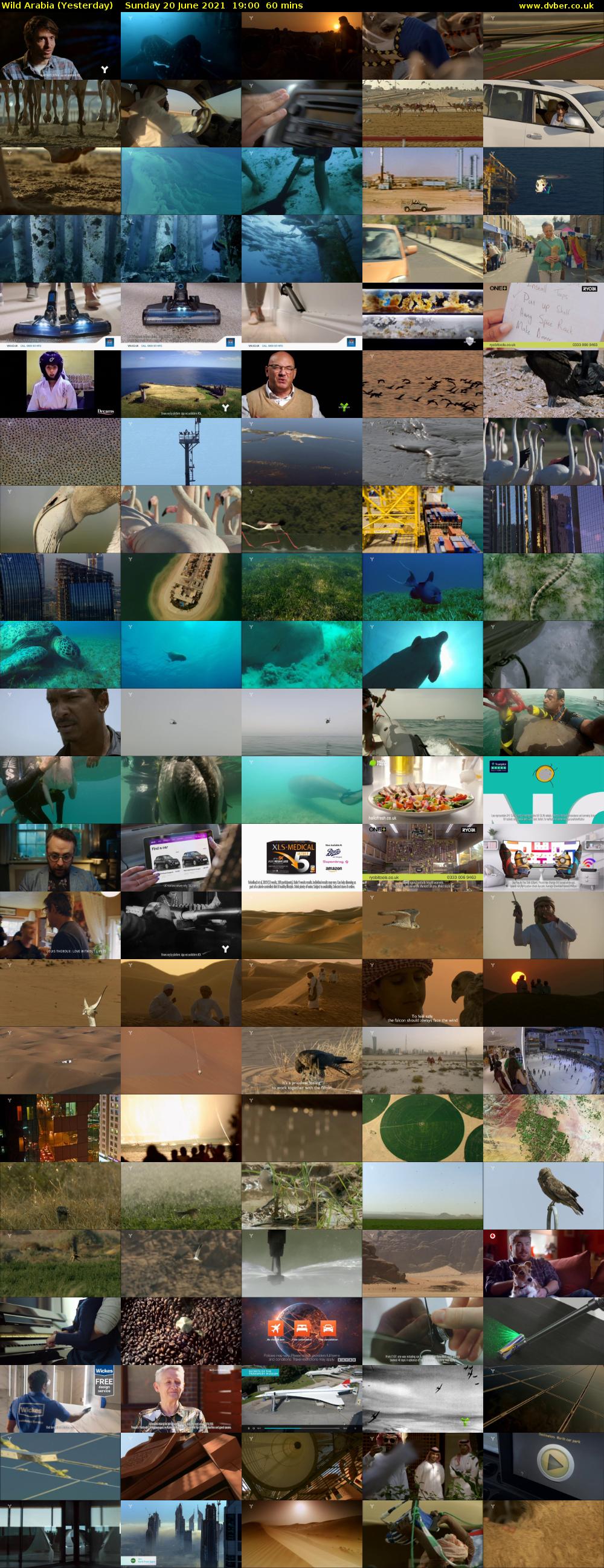 Wild Arabia (Yesterday) Sunday 20 June 2021 19:00 - 20:00