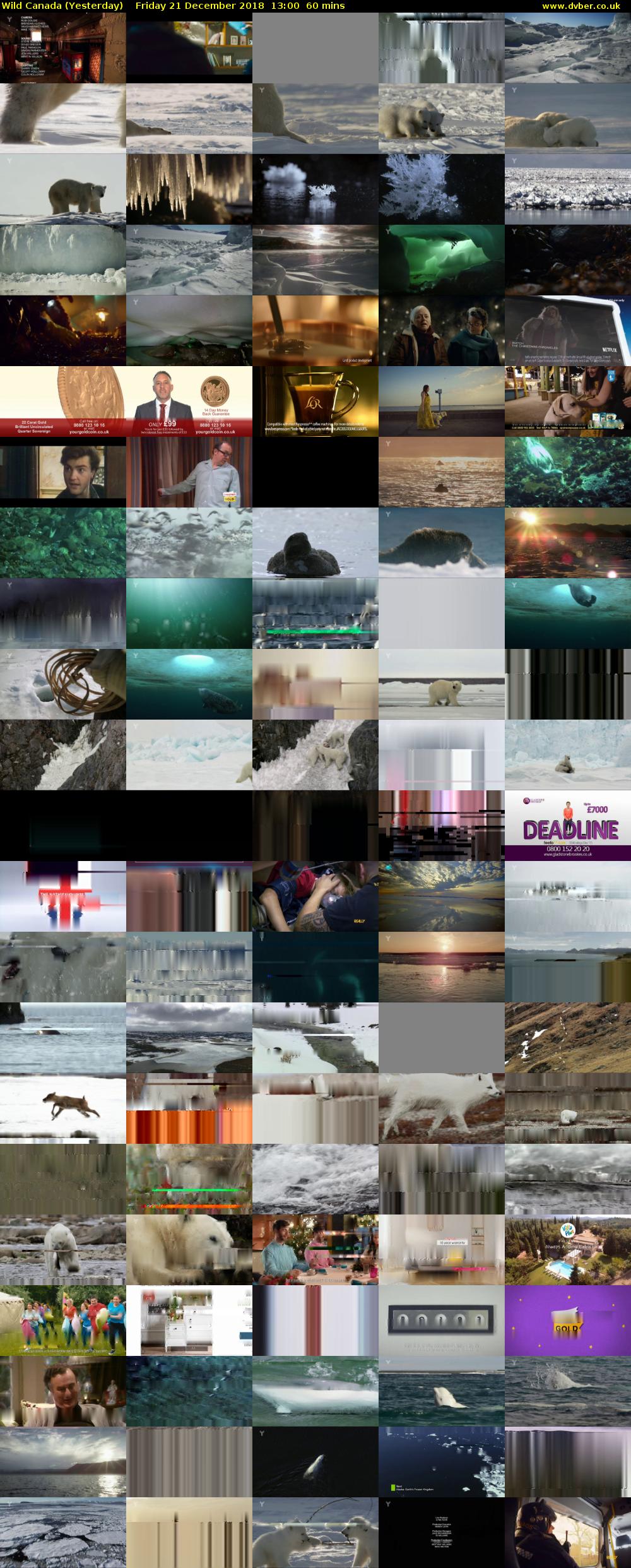 Wild Canada (Yesterday) Friday 21 December 2018 13:00 - 14:00