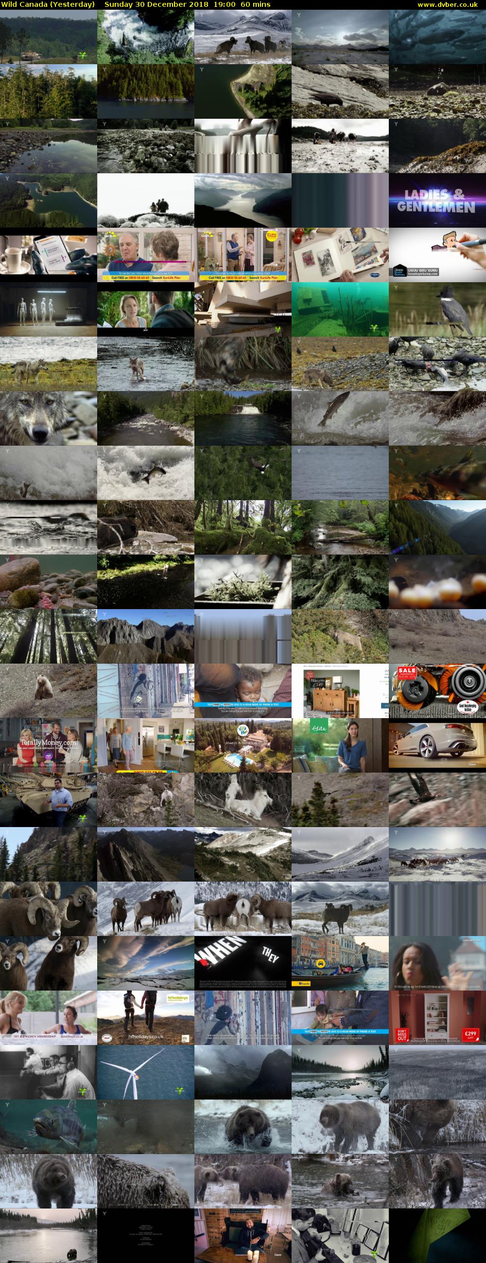 Wild Canada (Yesterday) Sunday 30 December 2018 19:00 - 20:00