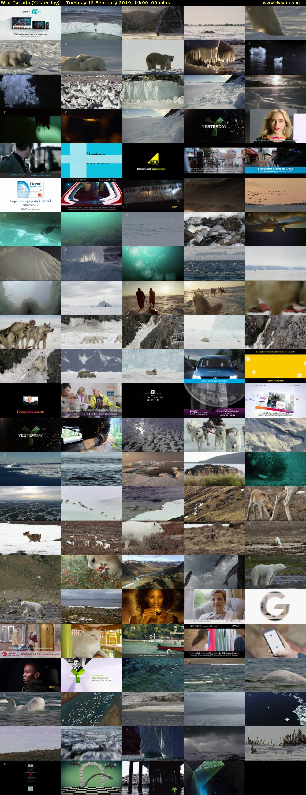 Wild Canada (Yesterday) Tuesday 12 February 2019 14:00 - 15:00