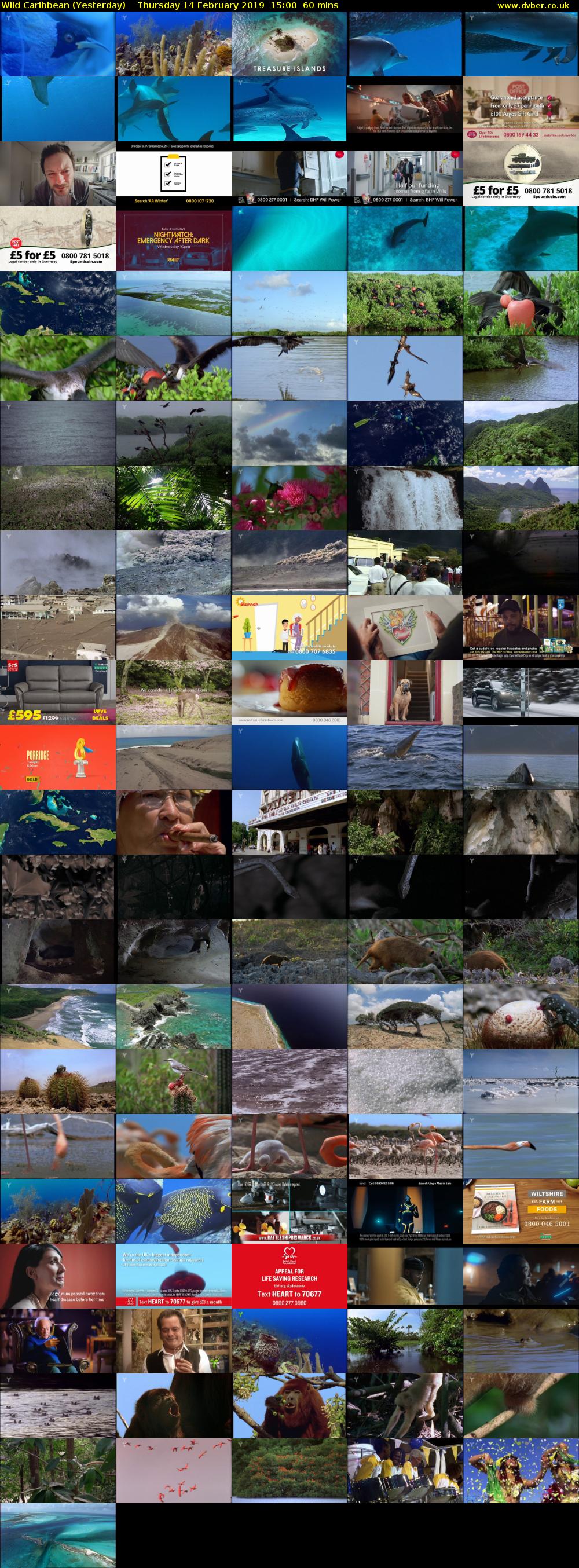 Wild Caribbean (Yesterday) Thursday 14 February 2019 15:00 - 16:00