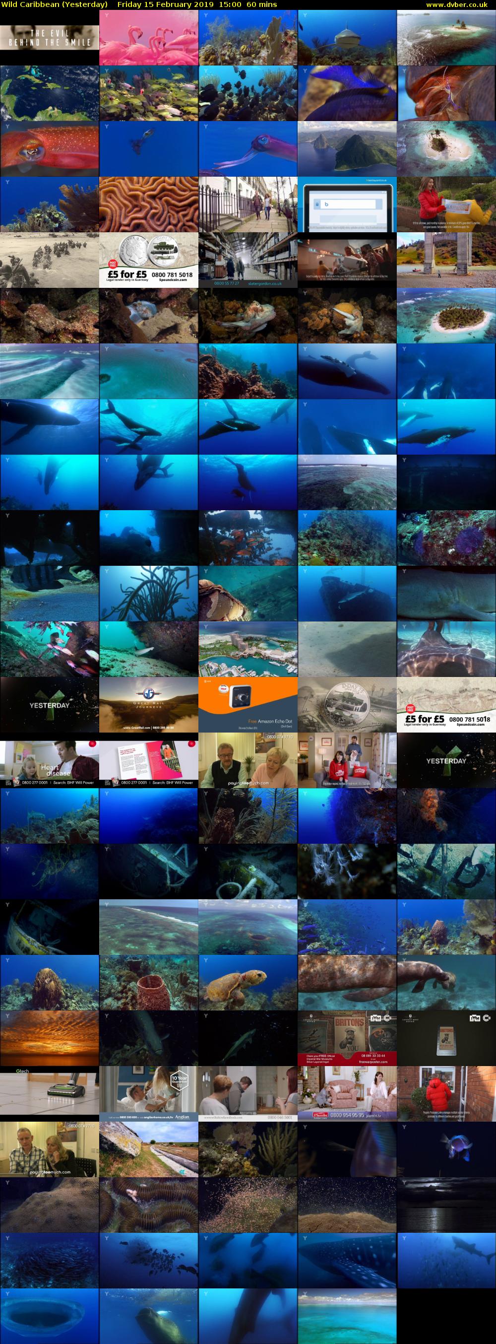 Wild Caribbean (Yesterday) Friday 15 February 2019 15:00 - 16:00