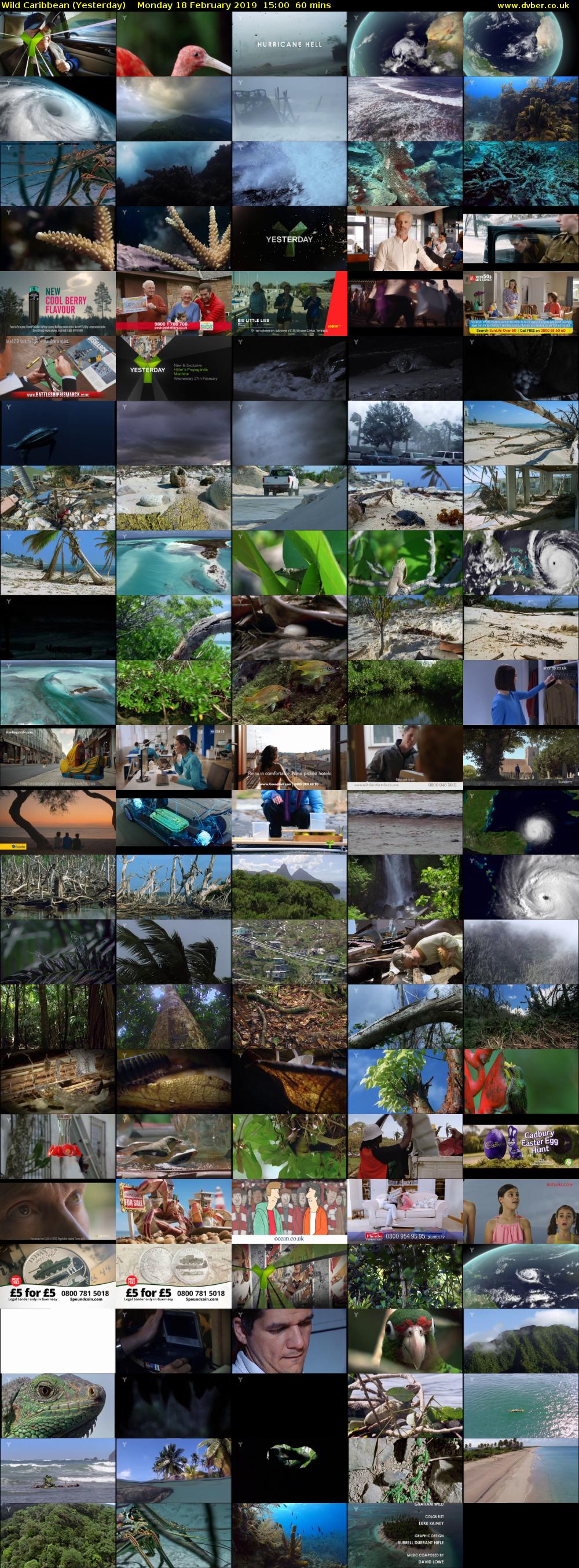 Wild Caribbean (Yesterday) Monday 18 February 2019 15:00 - 16:00