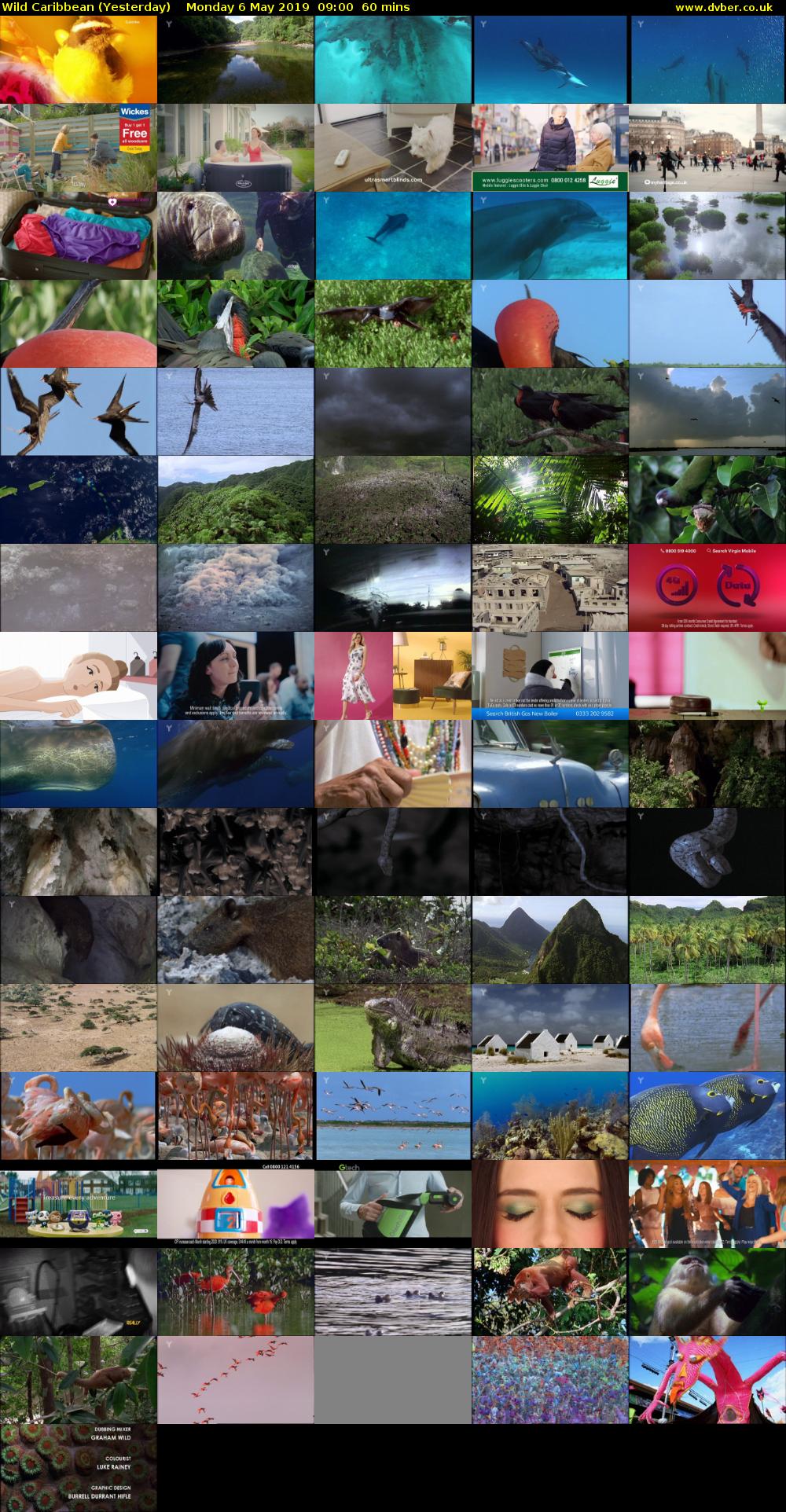 Wild Caribbean (Yesterday) Monday 6 May 2019 09:00 - 10:00