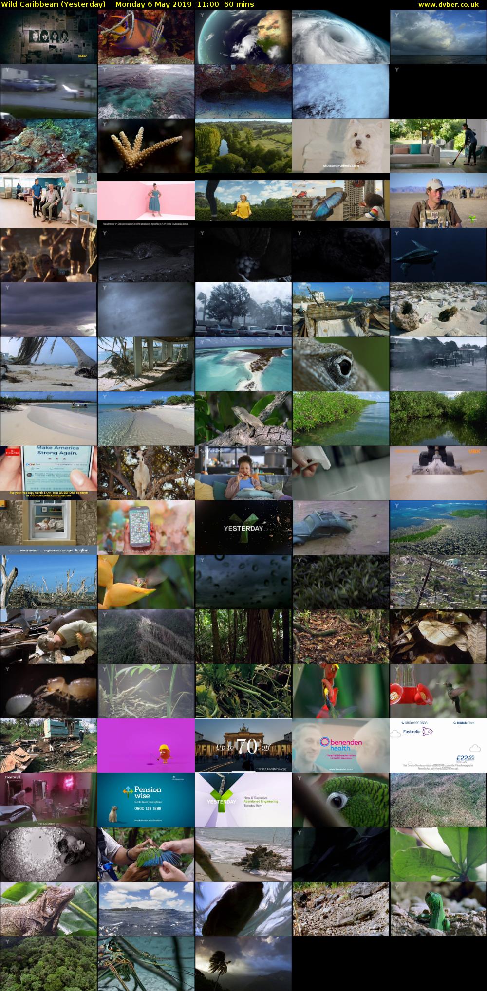 Wild Caribbean (Yesterday) Monday 6 May 2019 11:00 - 12:00