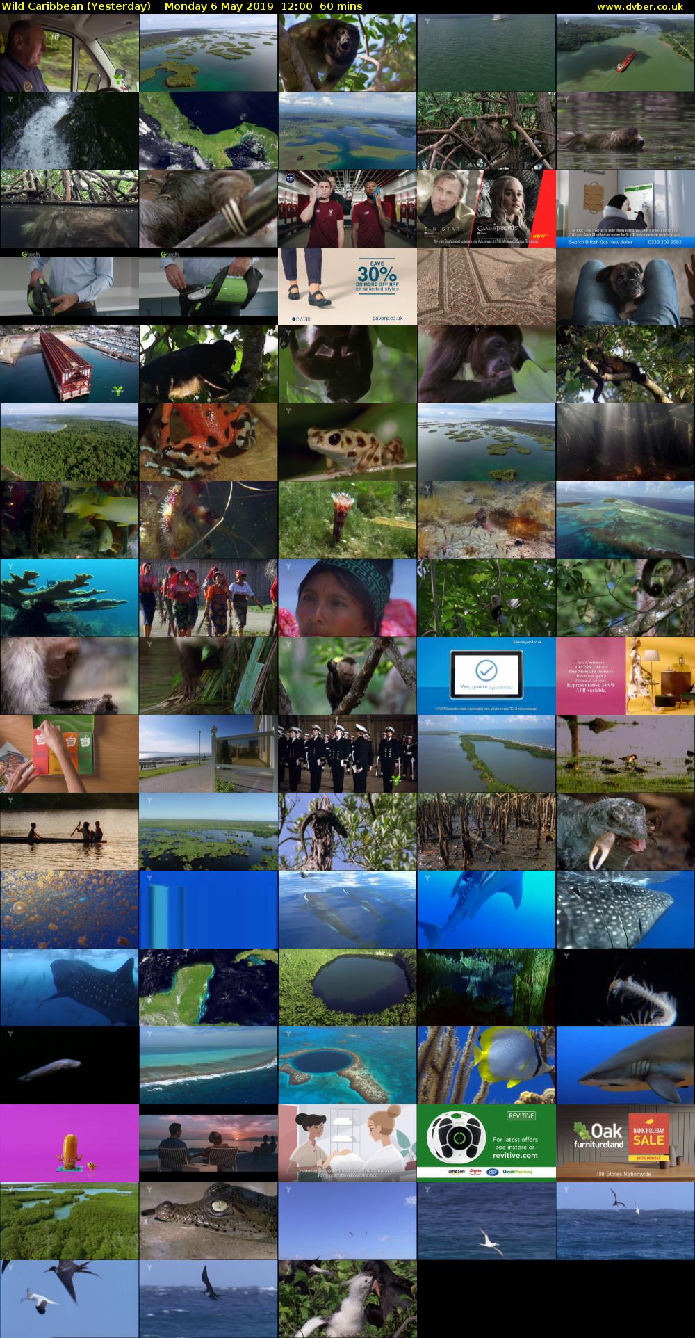 Wild Caribbean (Yesterday) Monday 6 May 2019 12:00 - 13:00