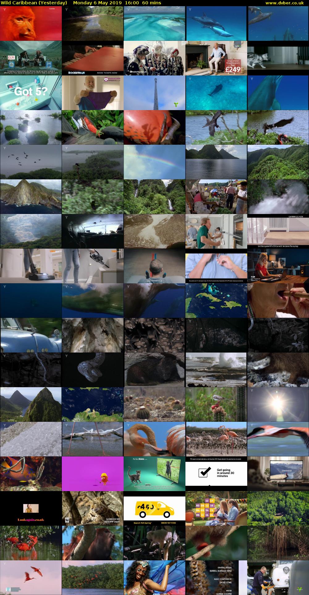 Wild Caribbean (Yesterday) Monday 6 May 2019 16:00 - 17:00