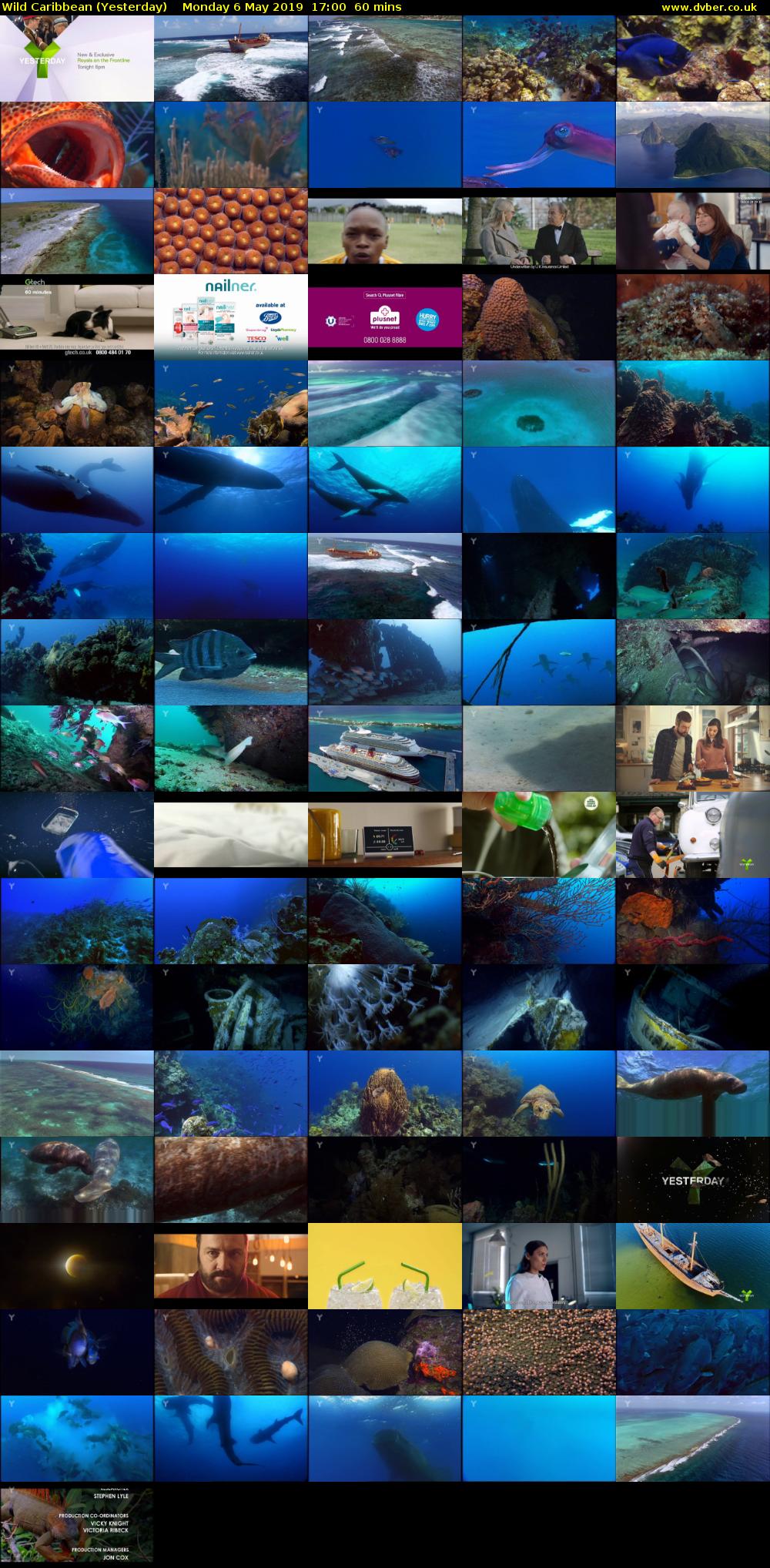 Wild Caribbean (Yesterday) Monday 6 May 2019 17:00 - 18:00