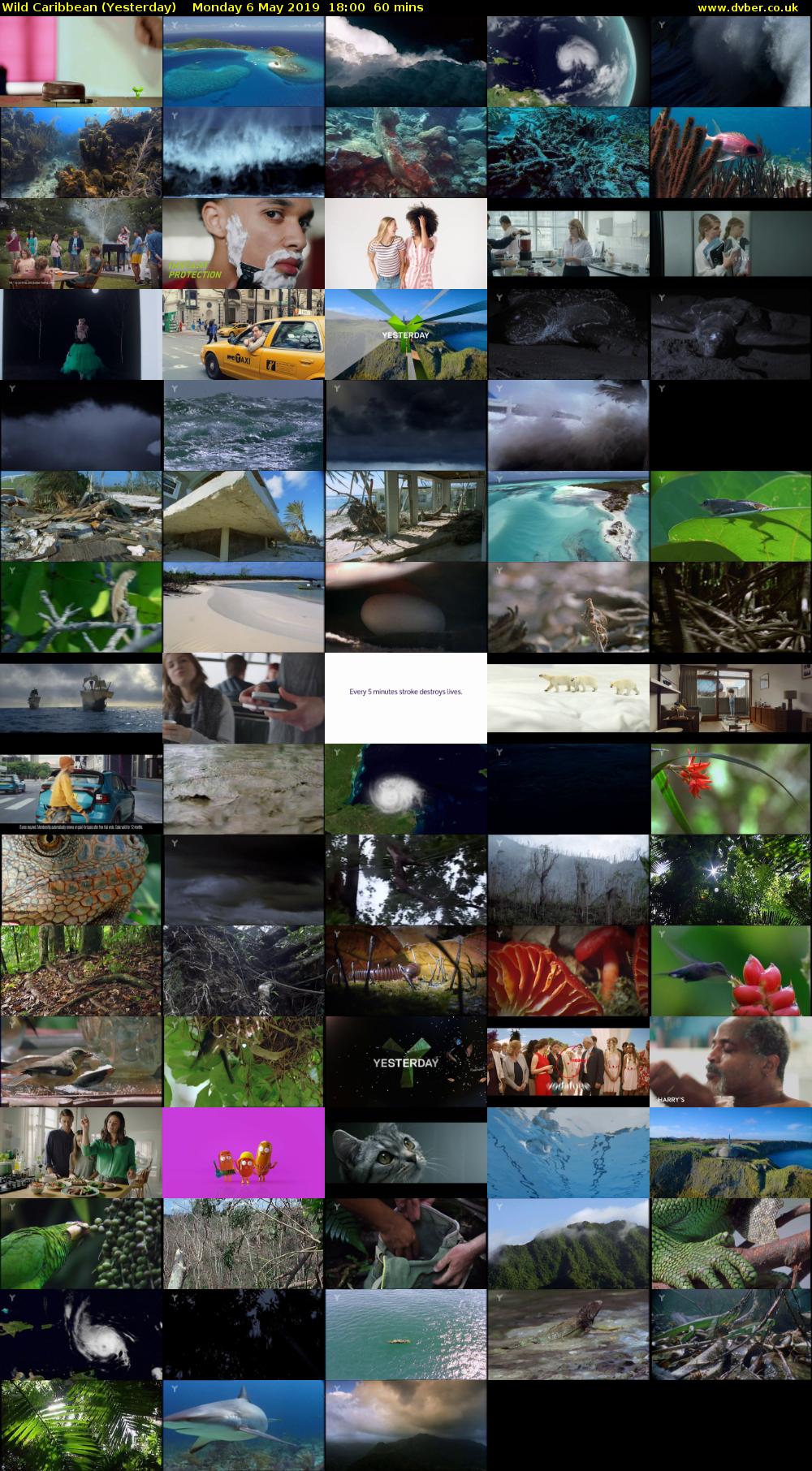 Wild Caribbean (Yesterday) Monday 6 May 2019 18:00 - 19:00