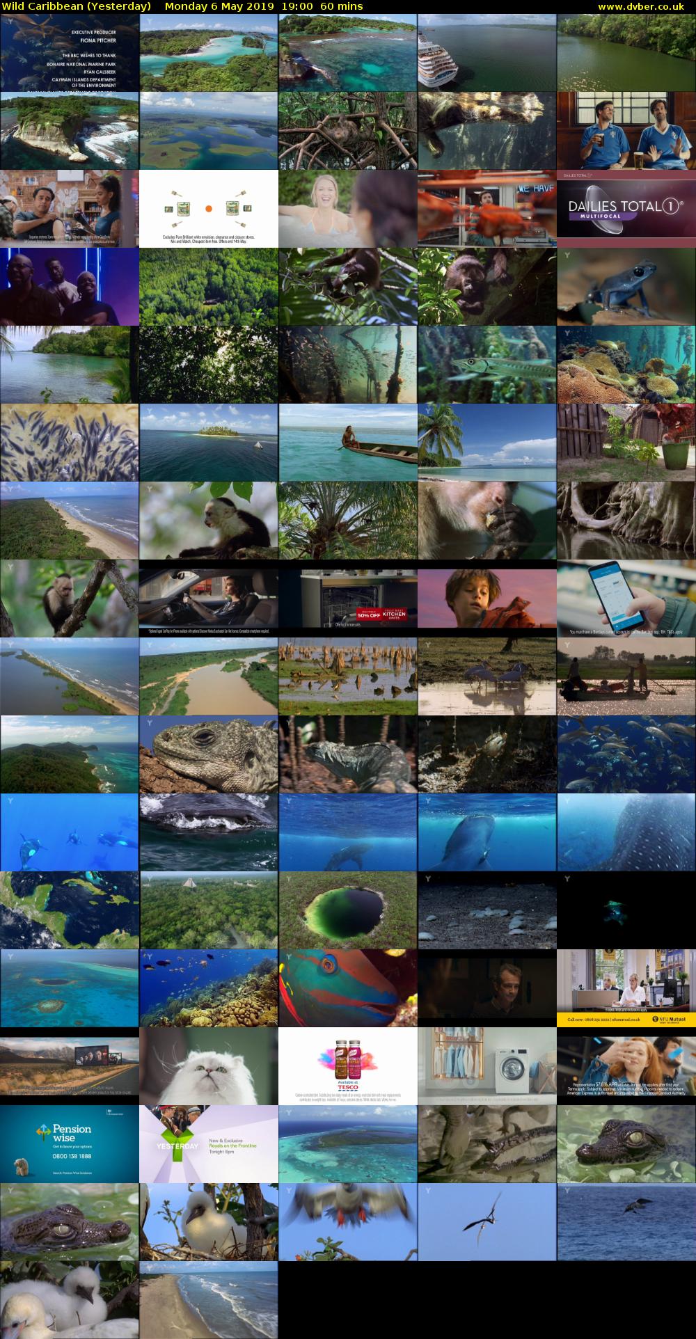 Wild Caribbean (Yesterday) Monday 6 May 2019 19:00 - 20:00