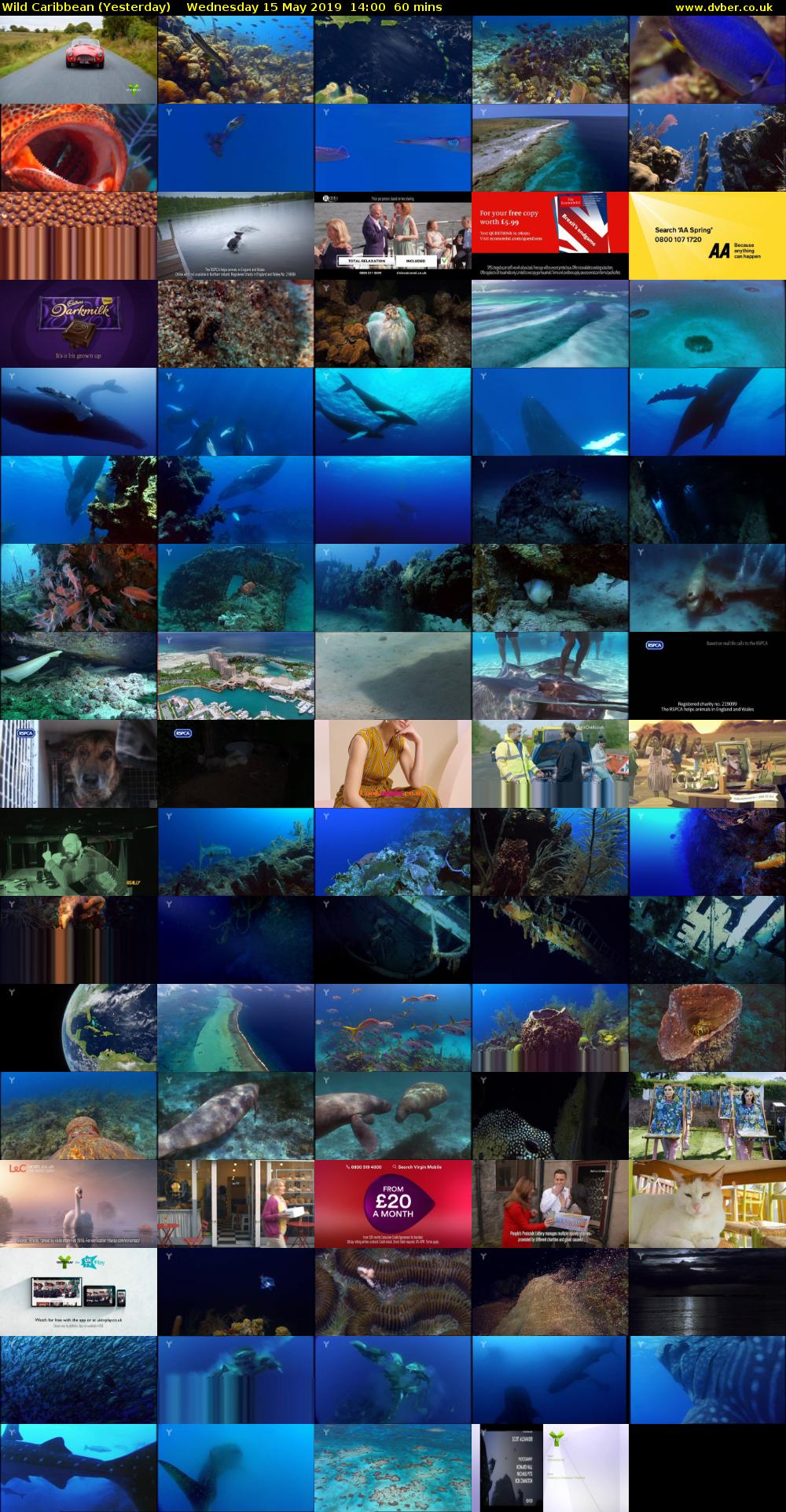 Wild Caribbean (Yesterday) Wednesday 15 May 2019 14:00 - 15:00