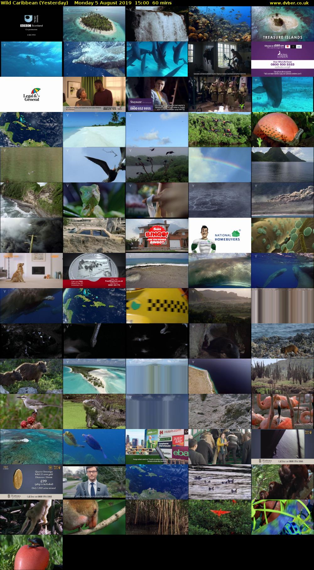 Wild Caribbean (Yesterday) Monday 5 August 2019 15:00 - 16:00