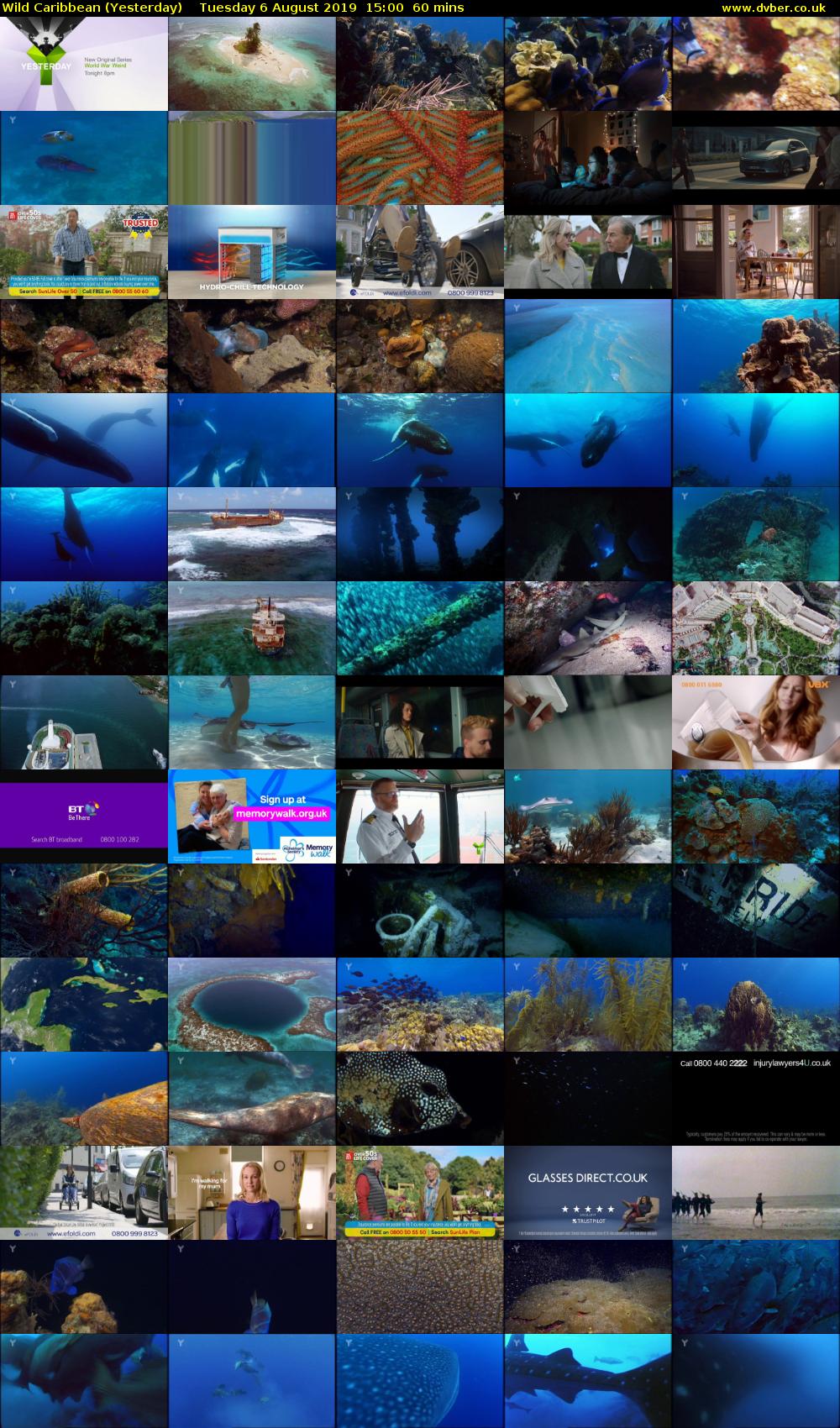 Wild Caribbean (Yesterday) Tuesday 6 August 2019 15:00 - 16:00