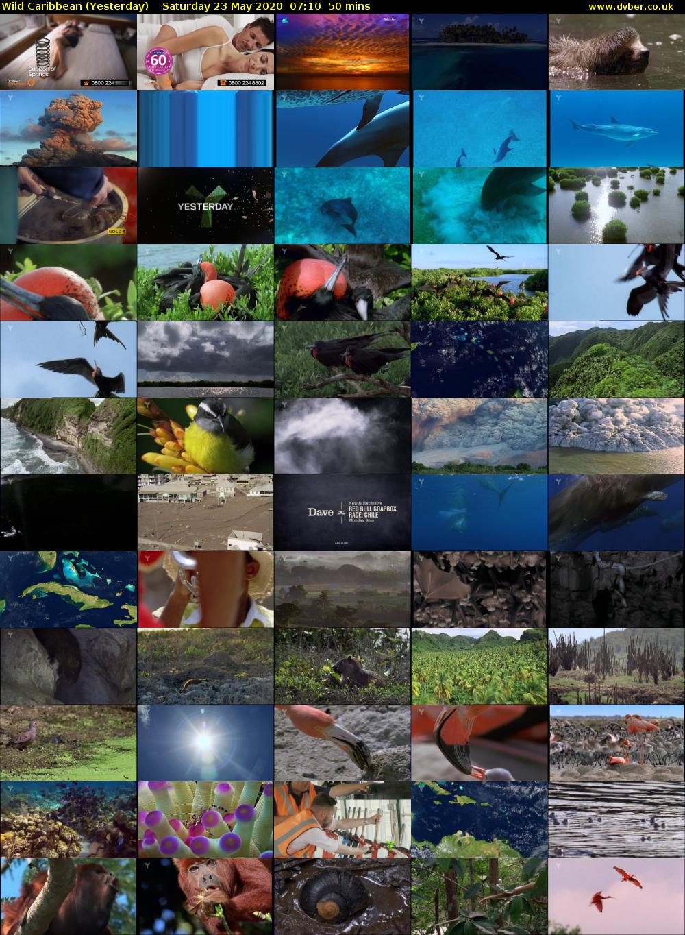 Wild Caribbean (Yesterday) Saturday 23 May 2020 07:10 - 08:00