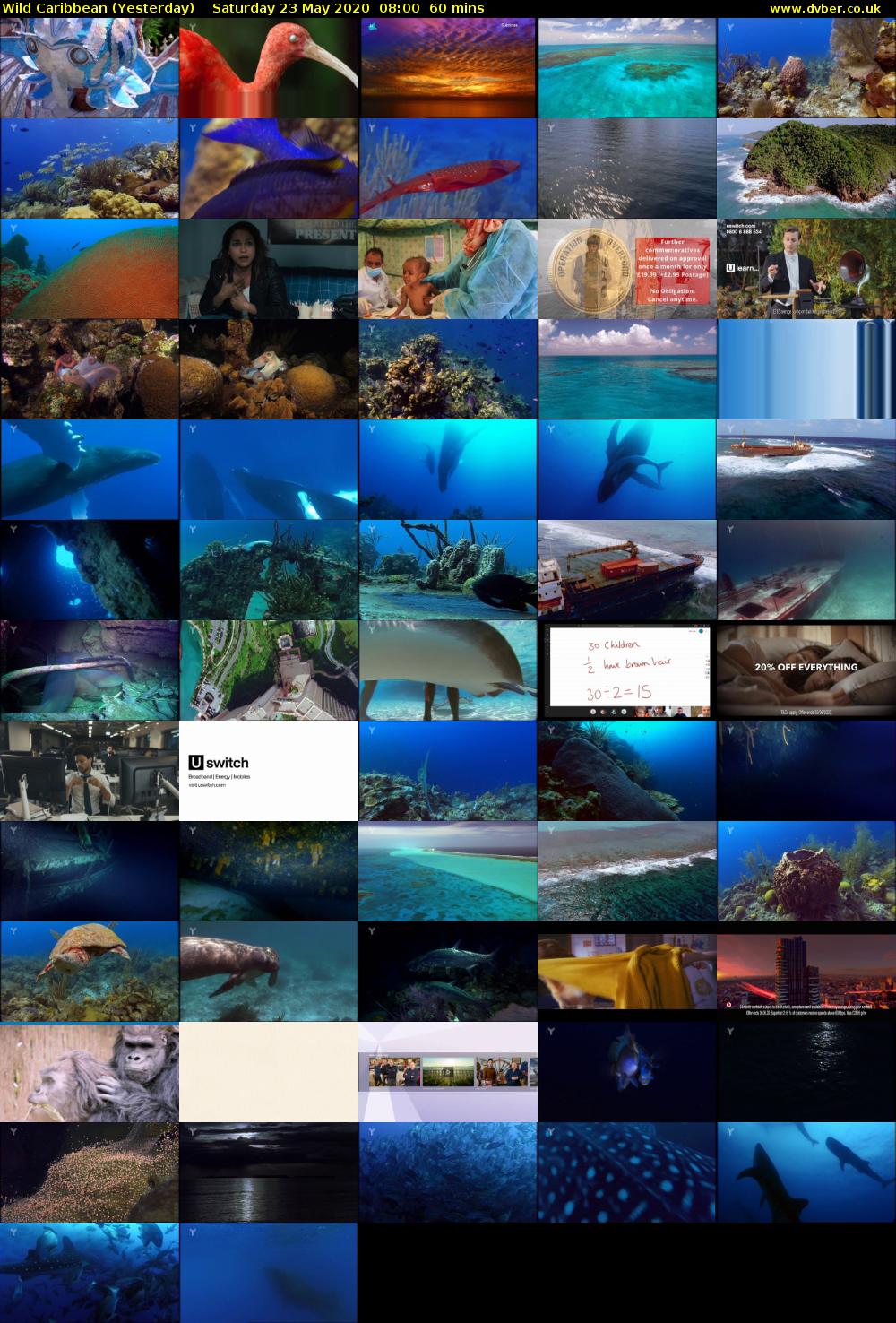 Wild Caribbean (Yesterday) Saturday 23 May 2020 08:00 - 09:00