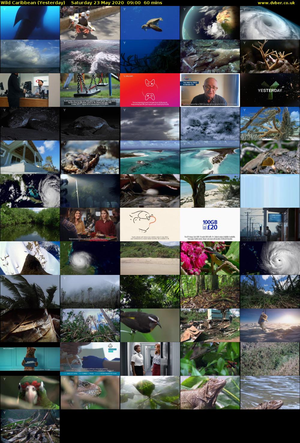 Wild Caribbean (Yesterday) Saturday 23 May 2020 09:00 - 10:00