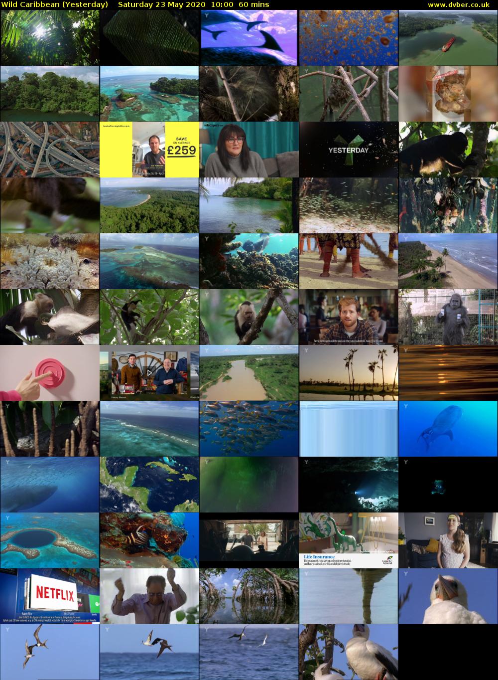 Wild Caribbean (Yesterday) Saturday 23 May 2020 10:00 - 11:00