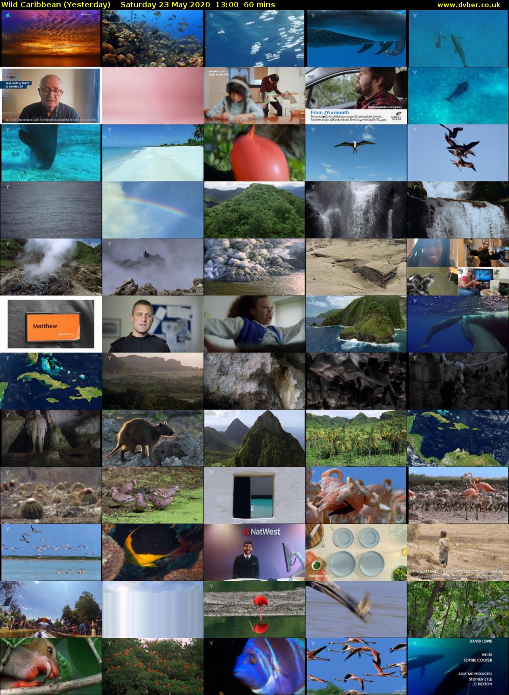 Wild Caribbean (Yesterday) Saturday 23 May 2020 13:00 - 14:00