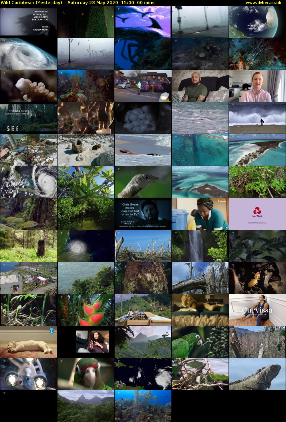 Wild Caribbean (Yesterday) Saturday 23 May 2020 15:00 - 16:00