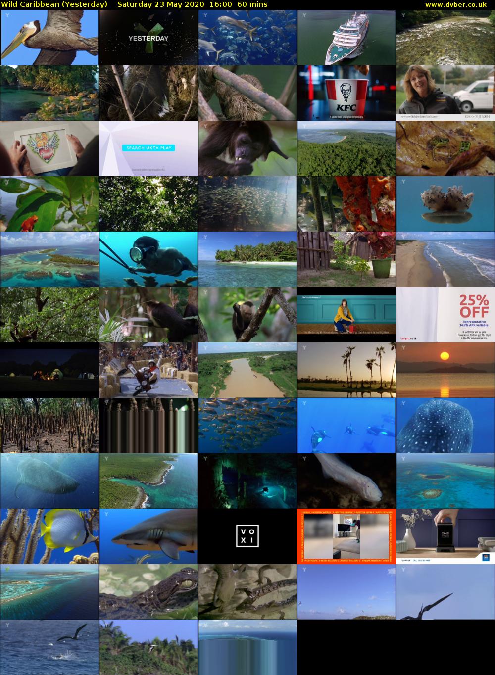 Wild Caribbean (Yesterday) Saturday 23 May 2020 16:00 - 17:00