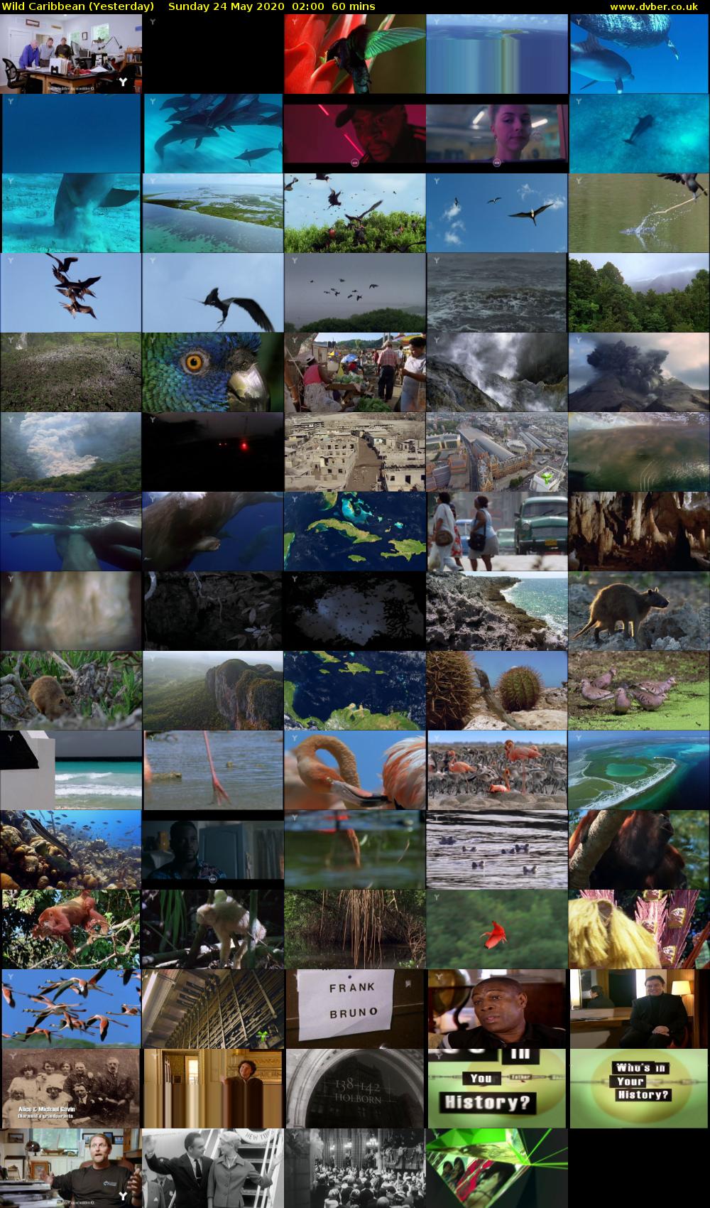 Wild Caribbean (Yesterday) Sunday 24 May 2020 02:00 - 03:00