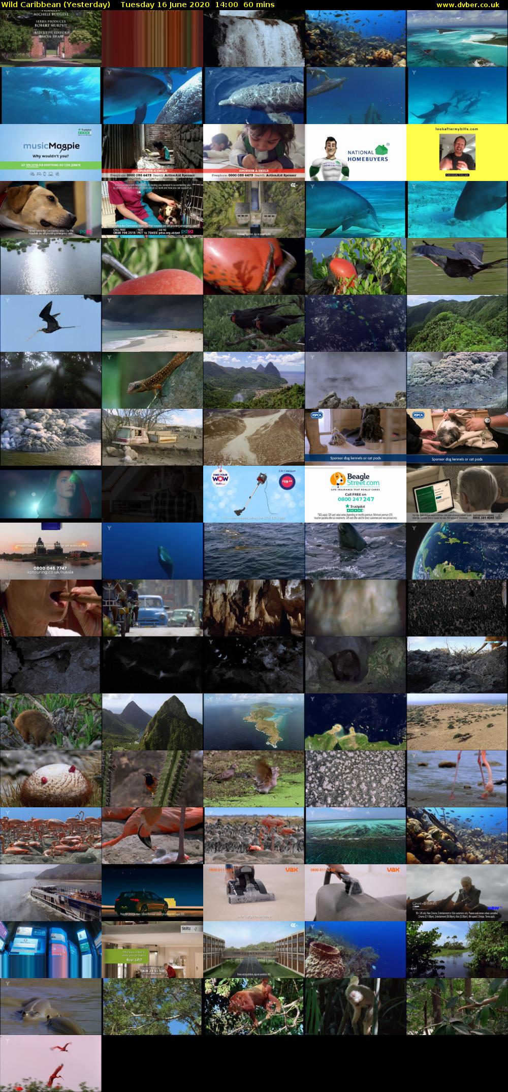 Wild Caribbean (Yesterday) Tuesday 16 June 2020 14:00 - 15:00