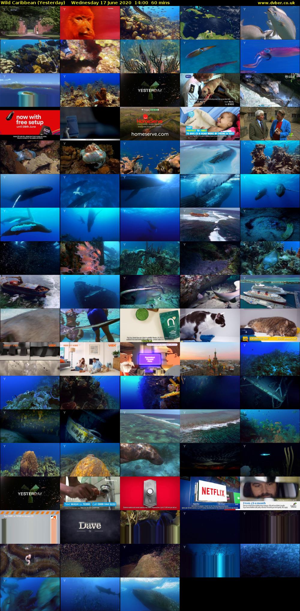 Wild Caribbean (Yesterday) Wednesday 17 June 2020 14:00 - 15:00