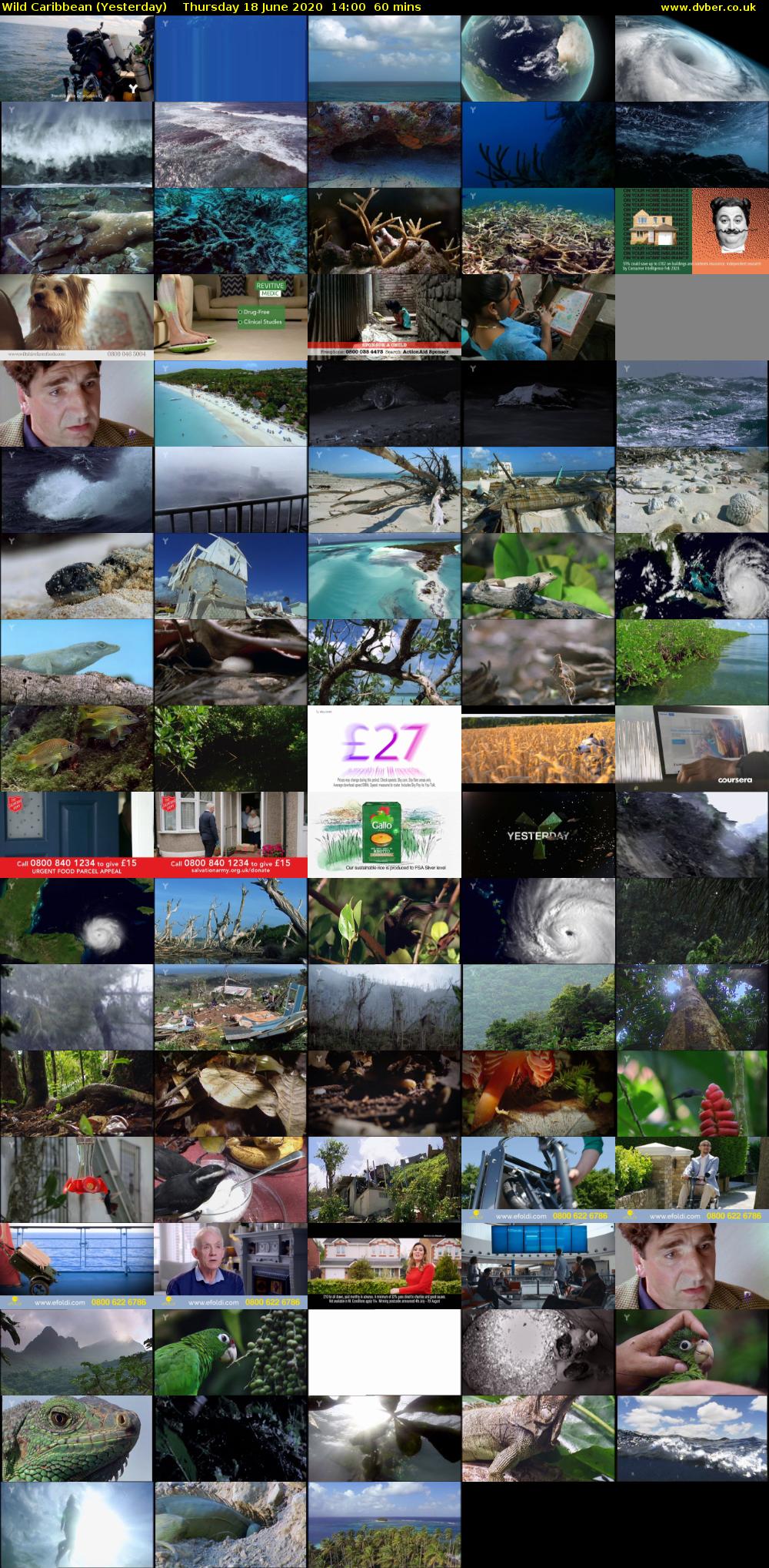 Wild Caribbean (Yesterday) Thursday 18 June 2020 14:00 - 15:00