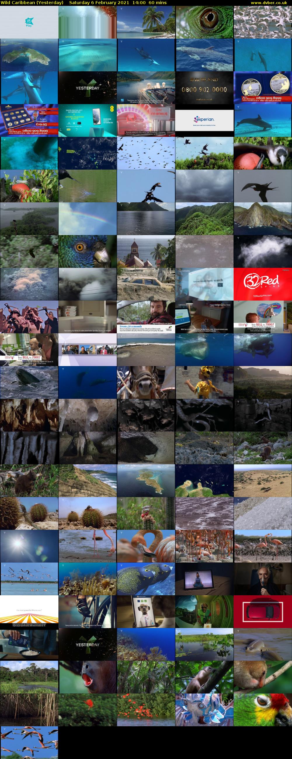 Wild Caribbean (Yesterday) Saturday 6 February 2021 14:00 - 15:00